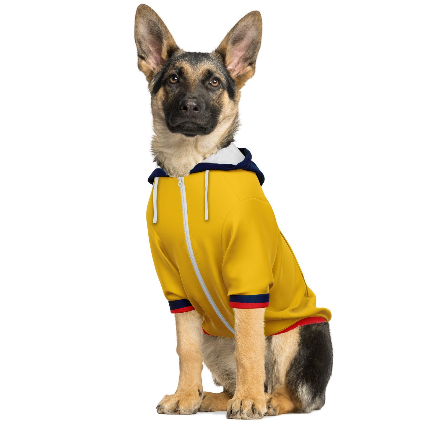Colombia Dog Hoodie