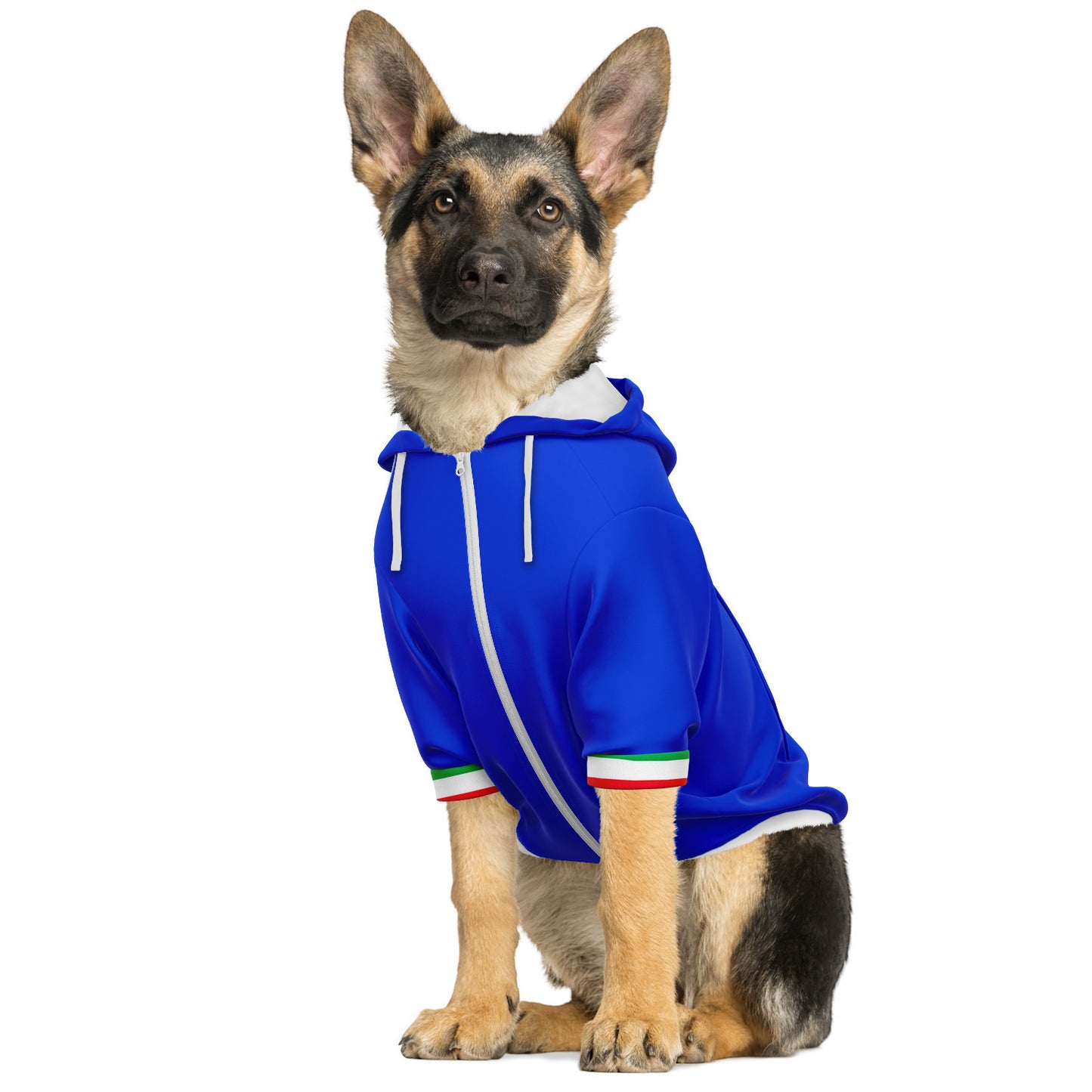Italy Dog Hoodie