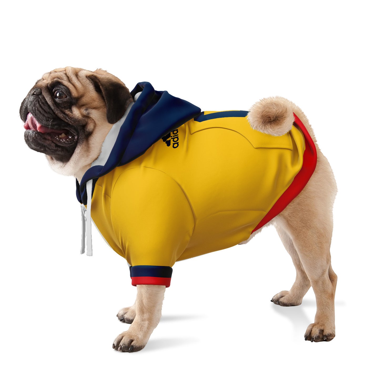 Colombia Dog Hoodie