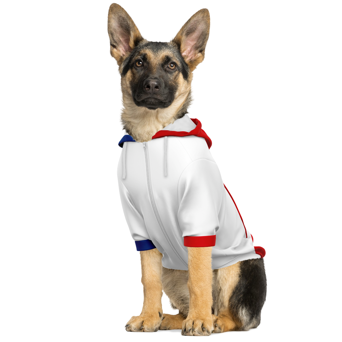 Olympique Lyonnais Dog Hoodie - Doggy Drip Shop
