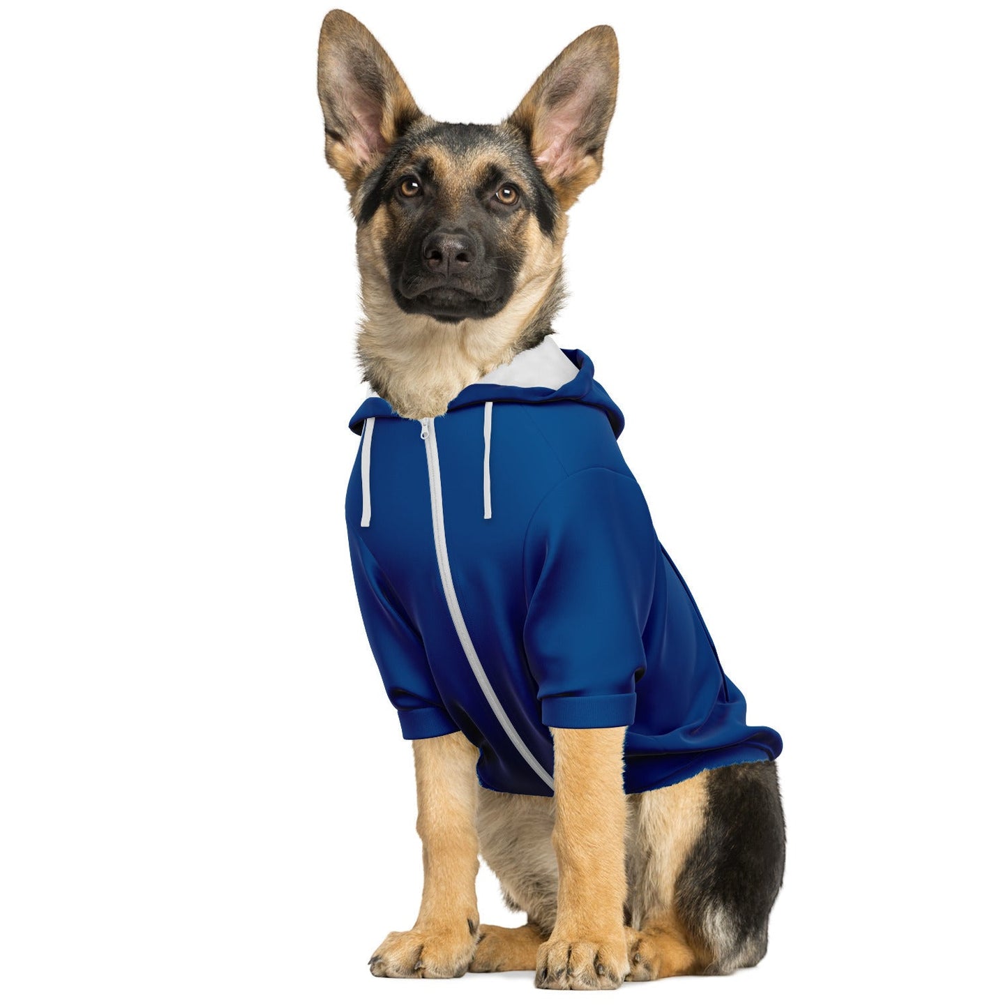 Naps & Treats - Dog Hoodie - Doggy Drip Shop