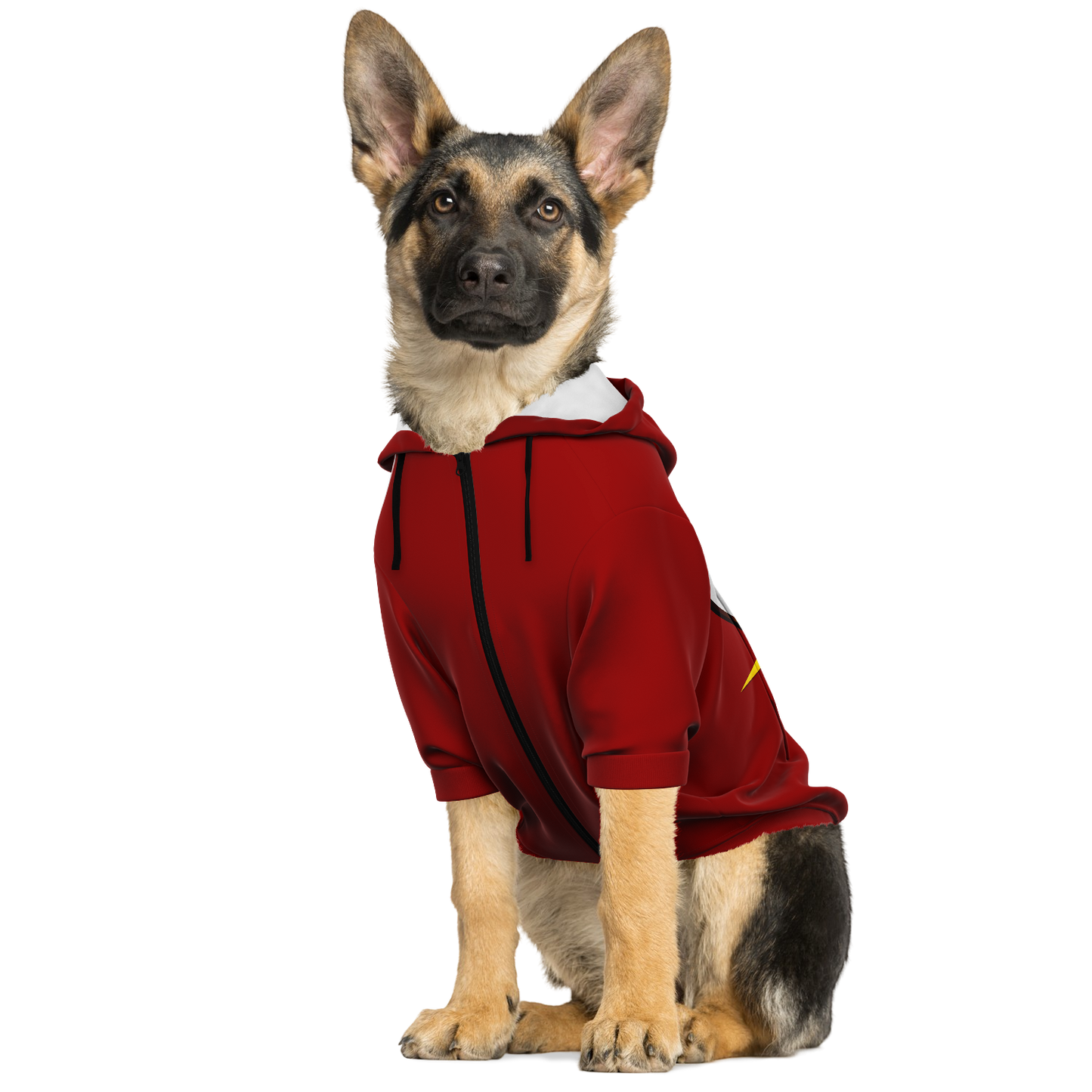 Doggo Flash - Dog Hoodie - Doggy Drip Shop