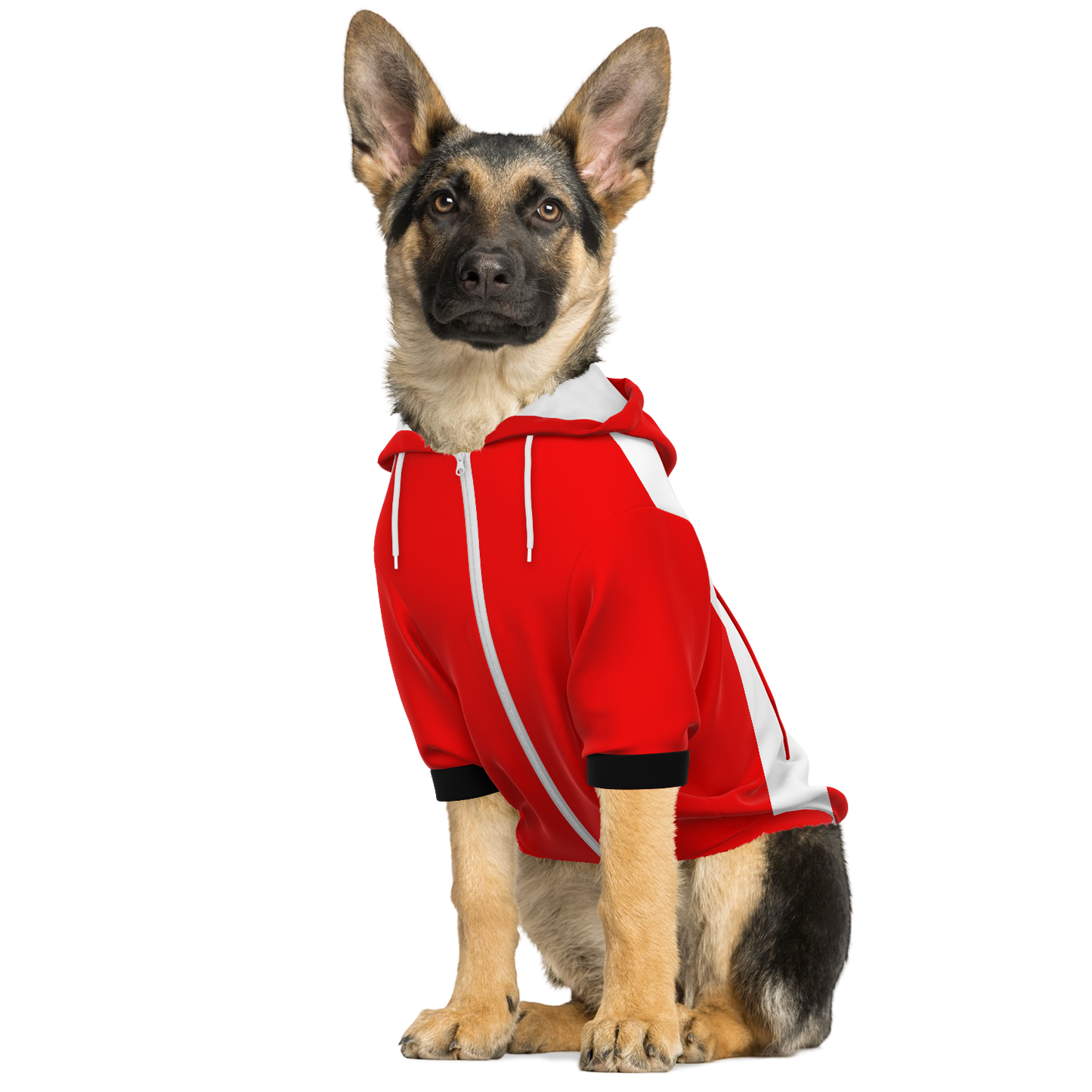 PSV Eindhoven Dog Hoodie - Doggy Drip Shop