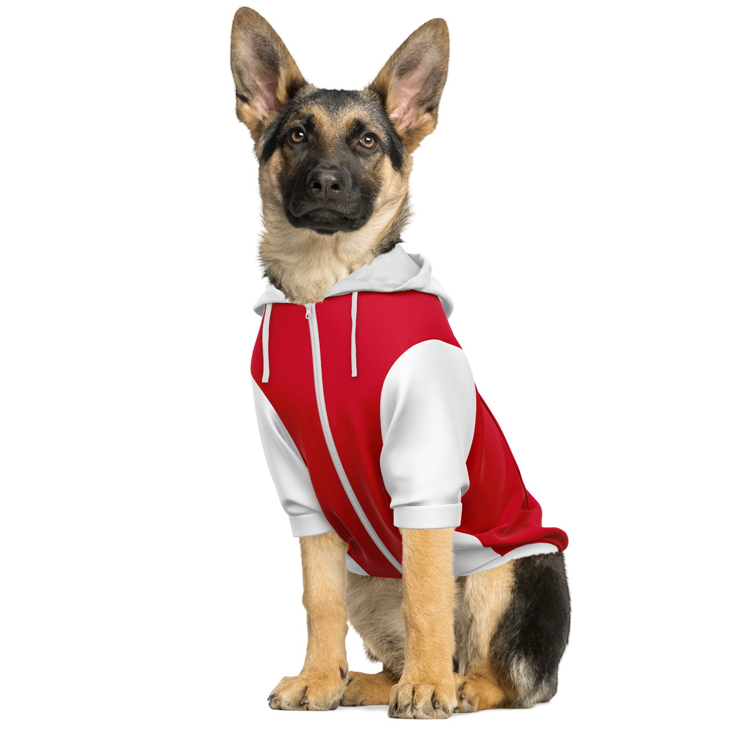 Ajax Dog Hoodie - Doggy Drip Shop