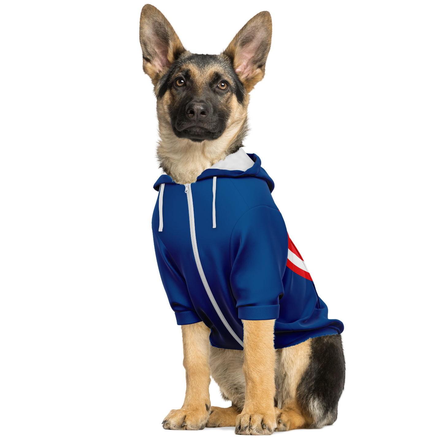 Captain Doggo - Dog Hoodie - Doggy Drip Shop