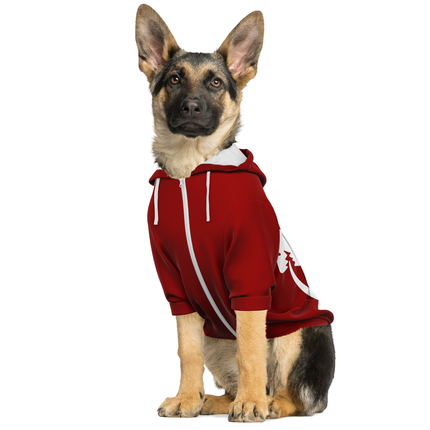 Full Puppy Alchemist - Dog Hoodie - Doggy Drip Shop