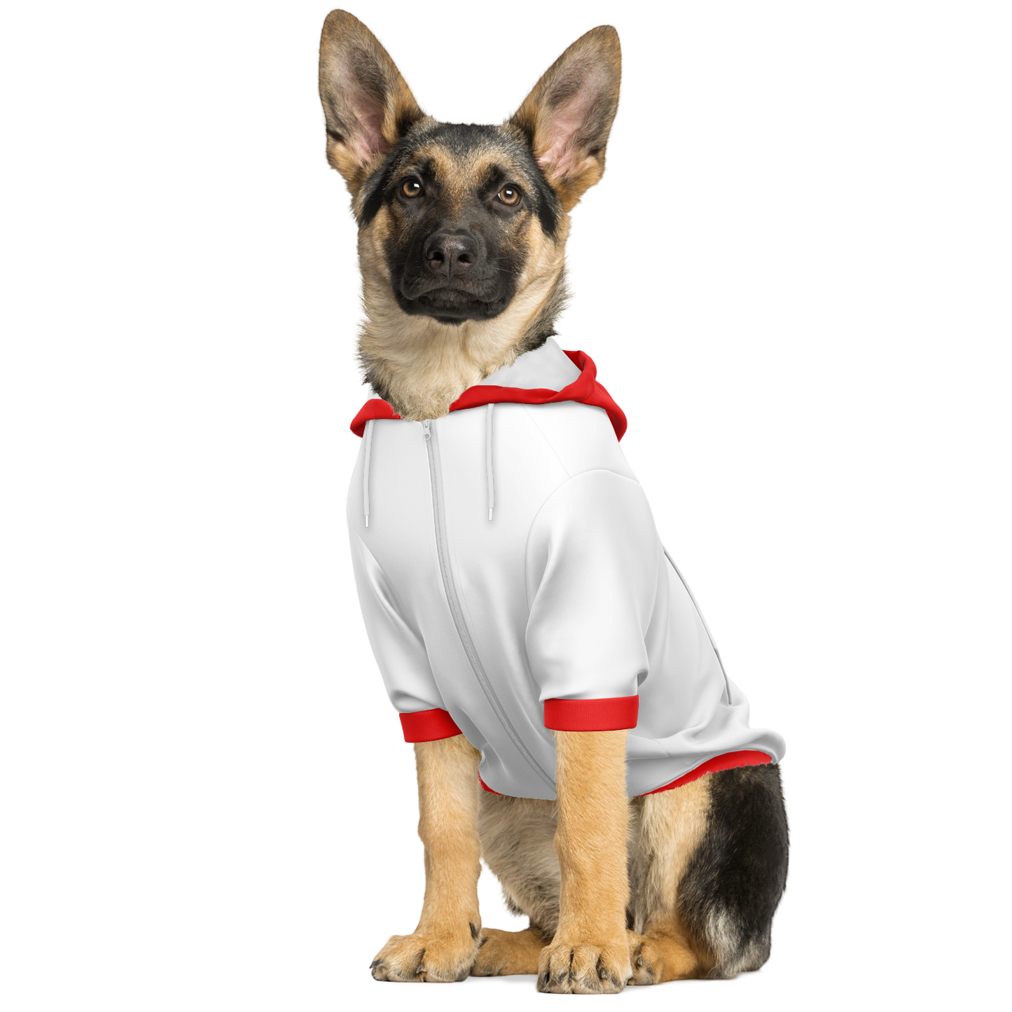 Sevilla FC Dog Hoodie - Doggy Drip Shop