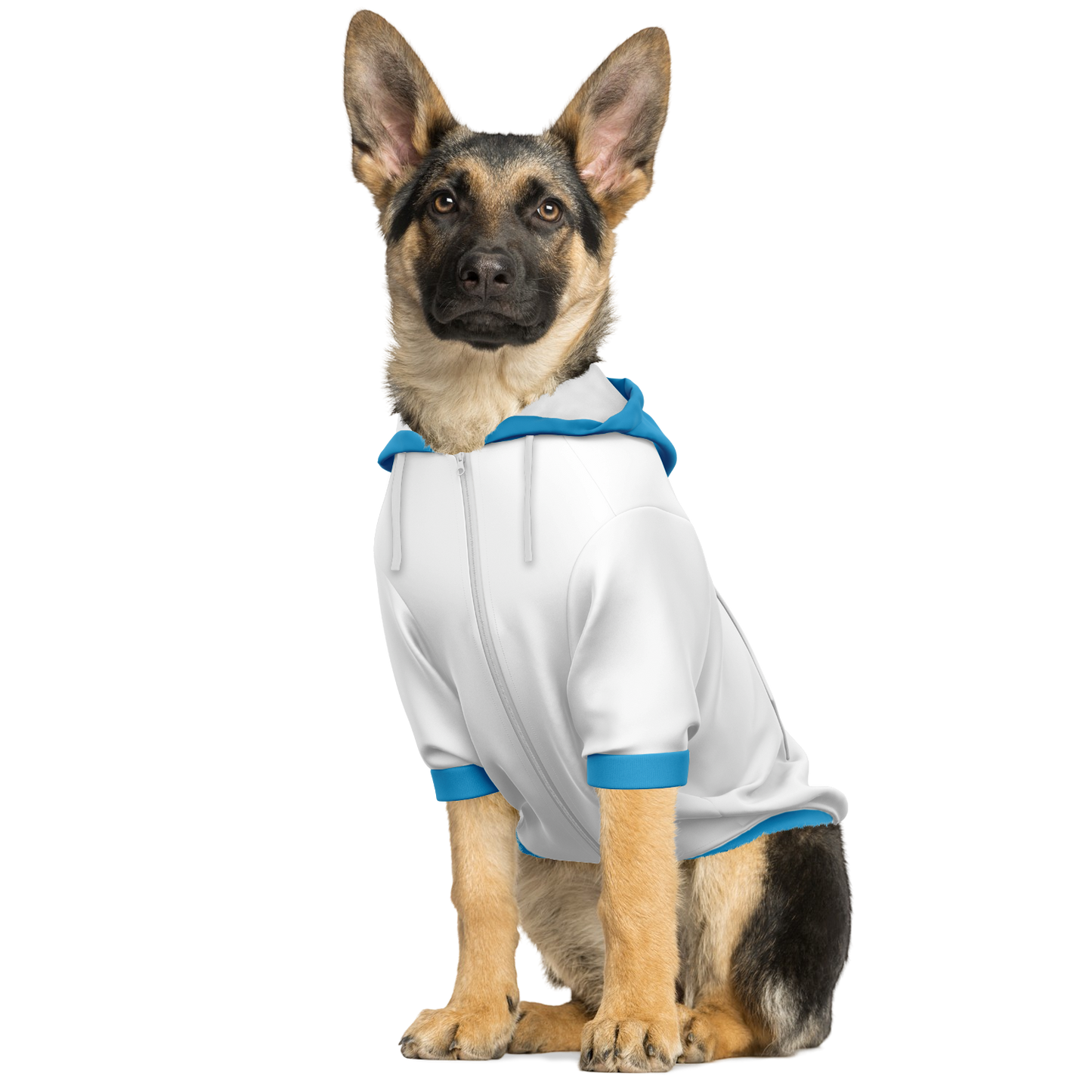 Marseille Dog Hoodie - Doggy Drip Shop