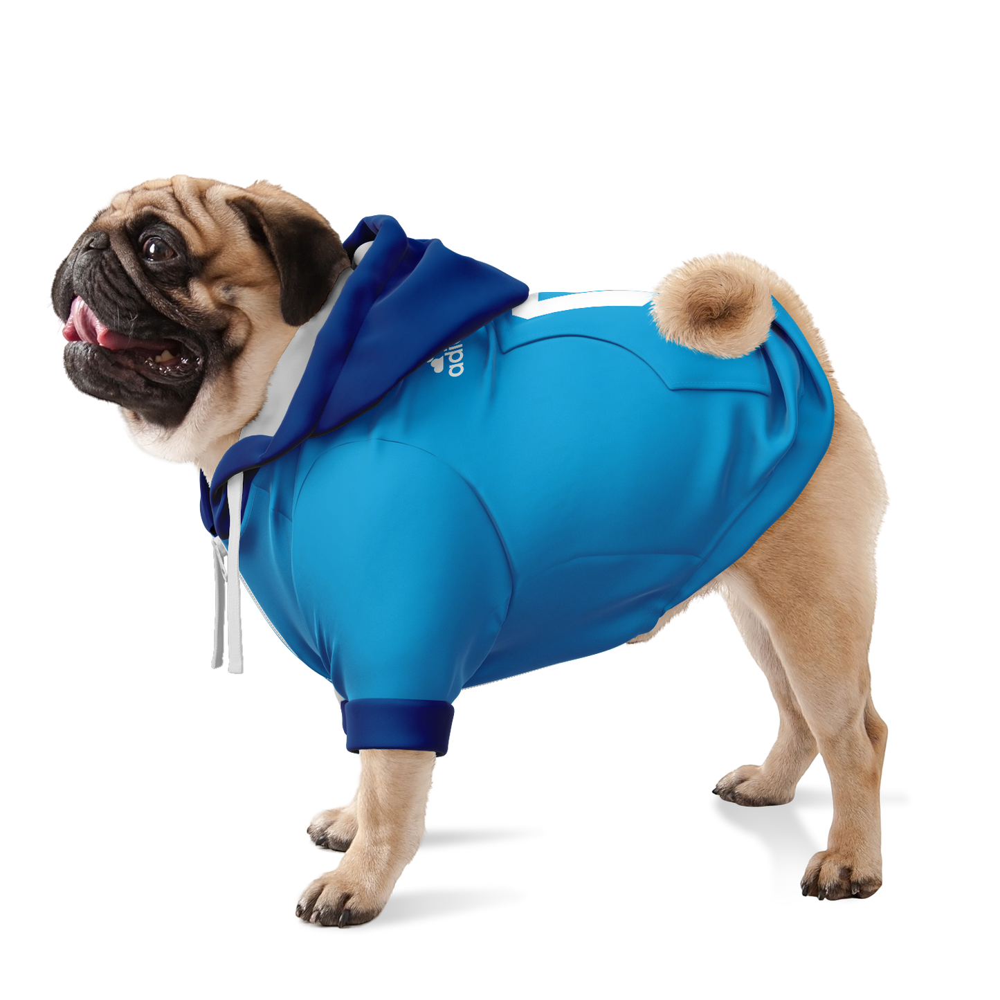 Napoli Dog Hoodie - Doggy Drip Shop