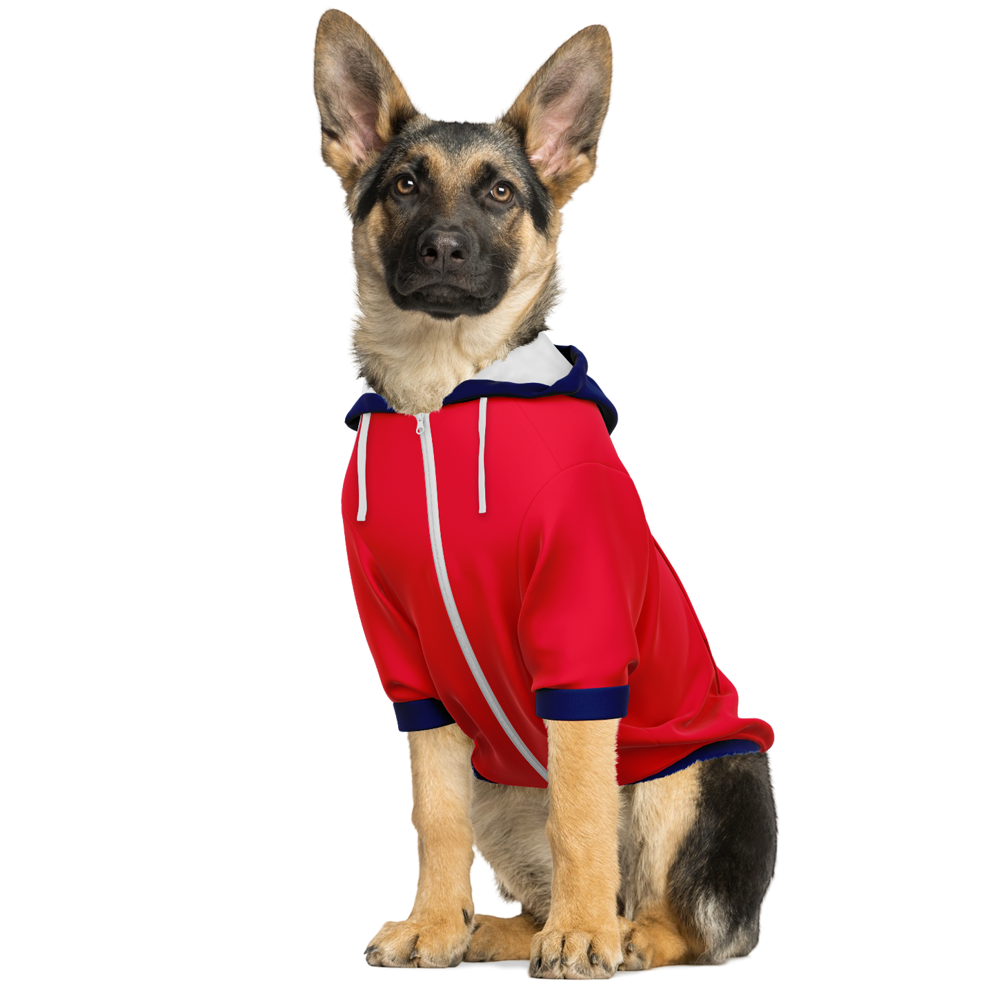South Korea Dog Hoodie