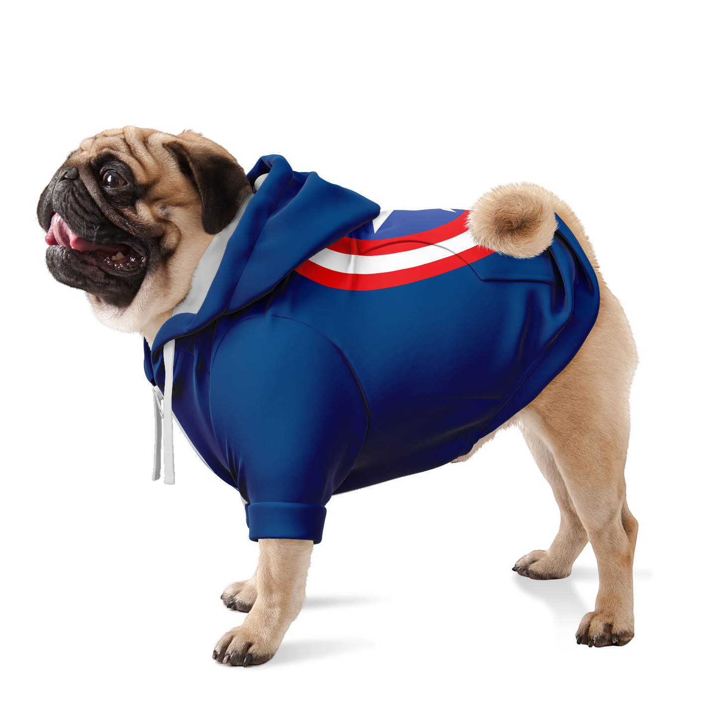 Captain Doggo - Dog Hoodie - Doggy Drip Shop