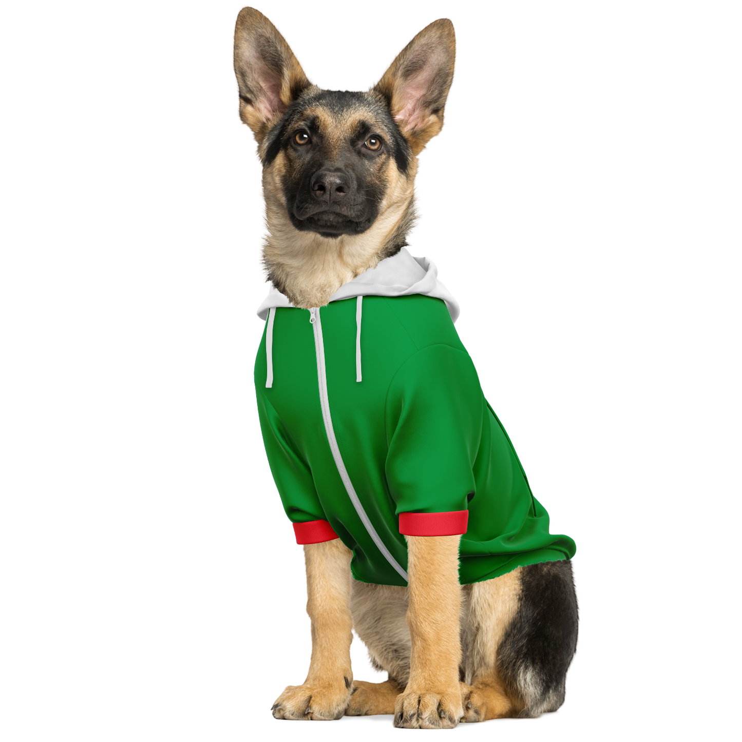 Mexico Dog Hoodie