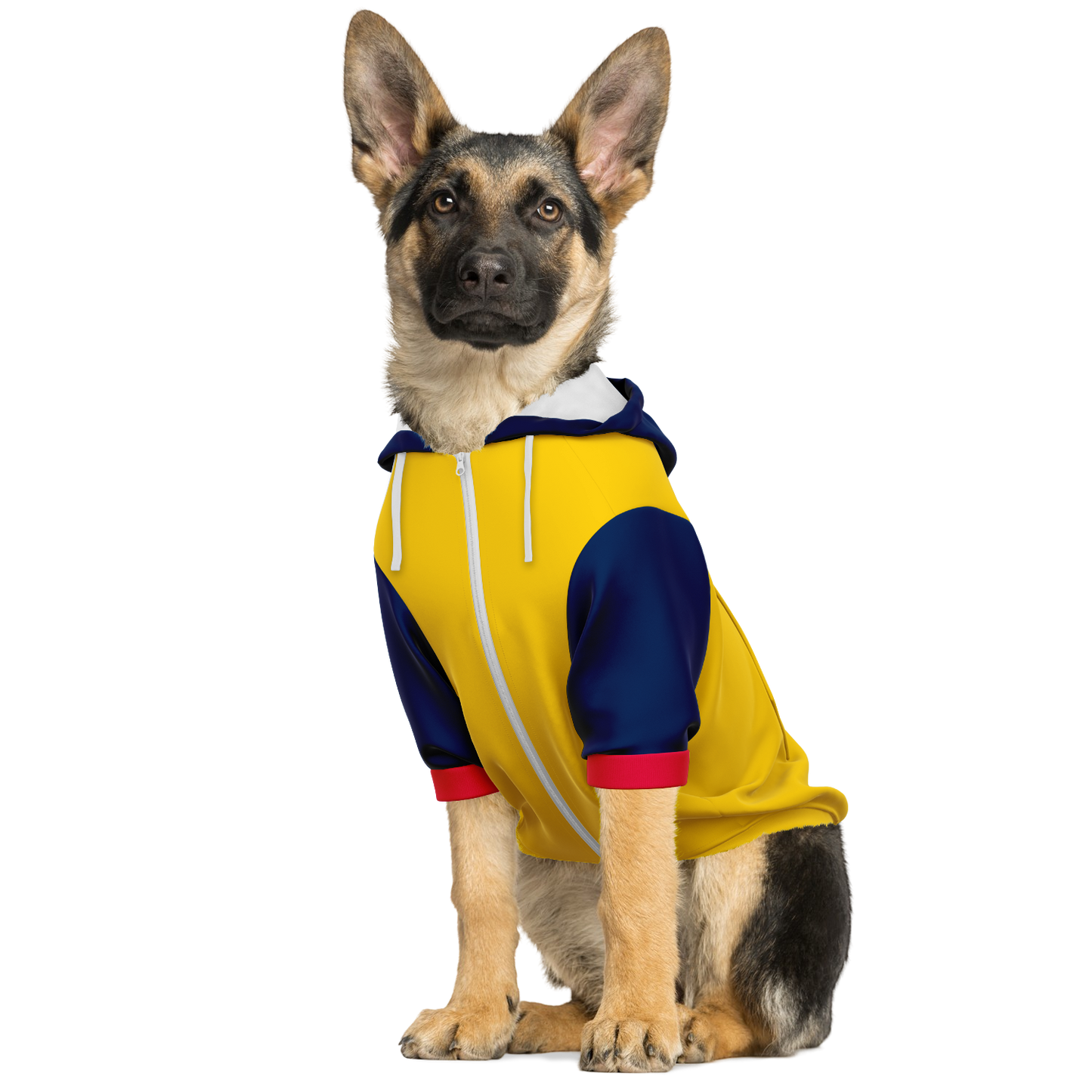 Ecuador Dog Hoodie