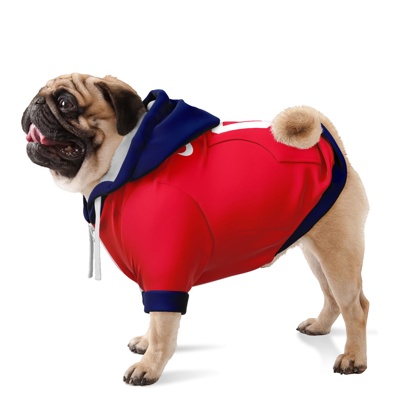 South Korea Dog Hoodie