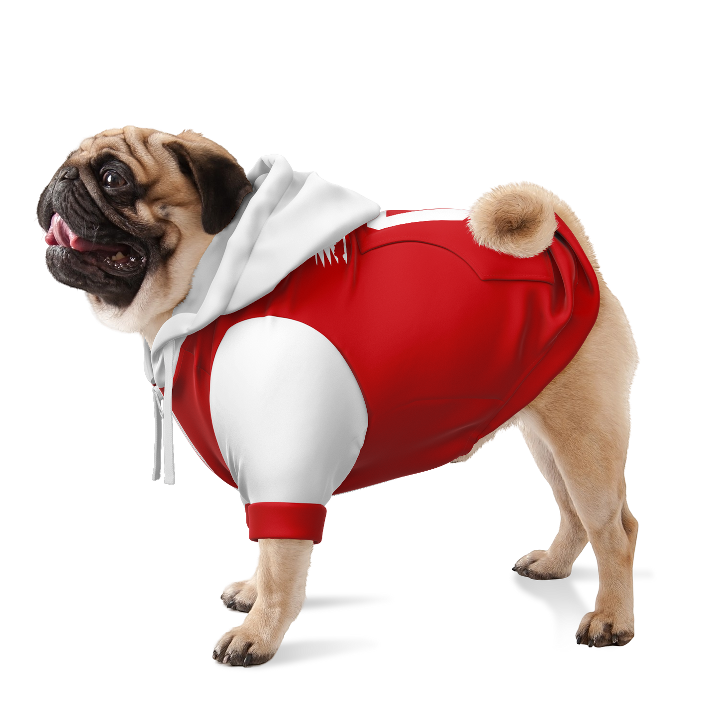 Denmark Dog Hoodie