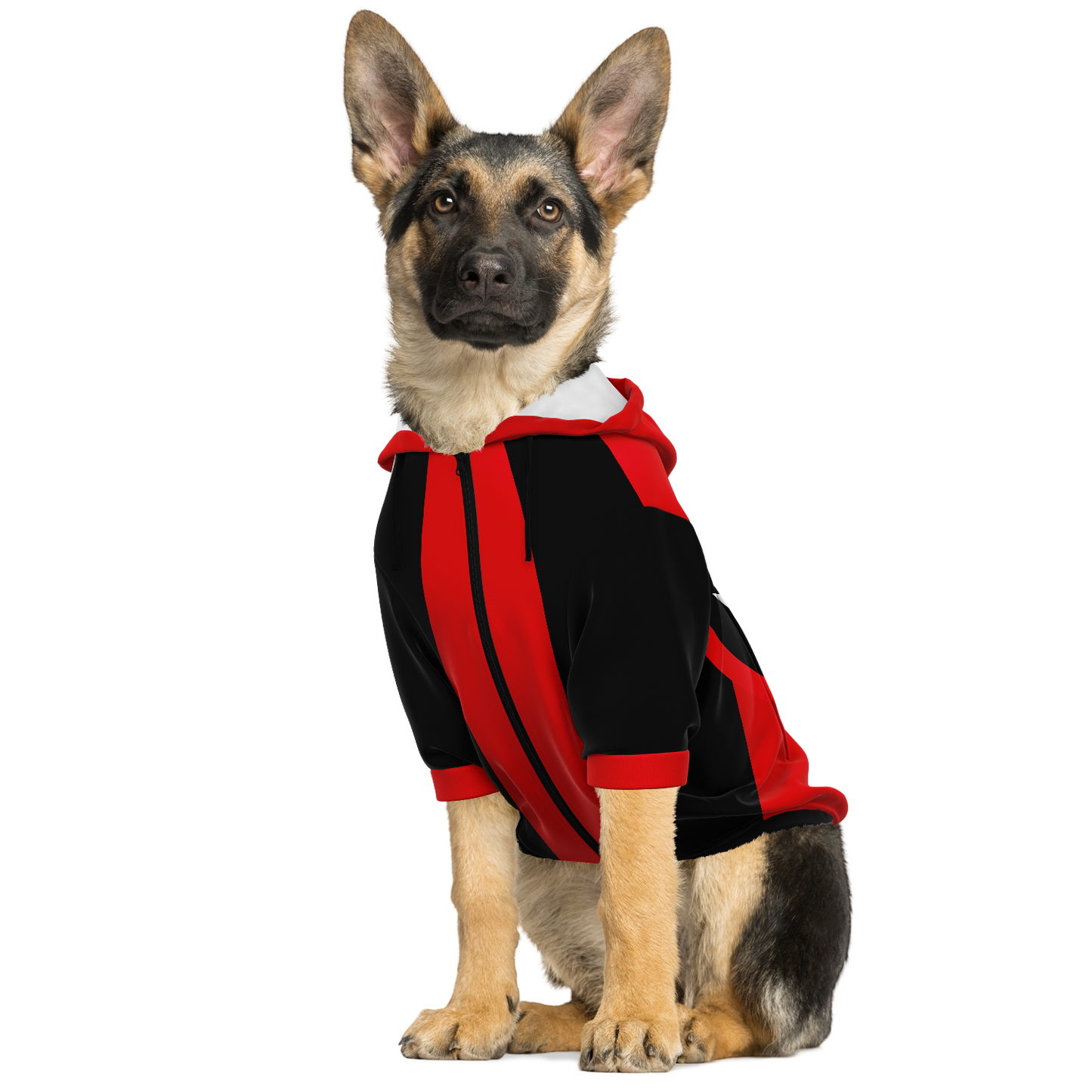Doggopool - Dog Hoodie - Doggy Drip Shop