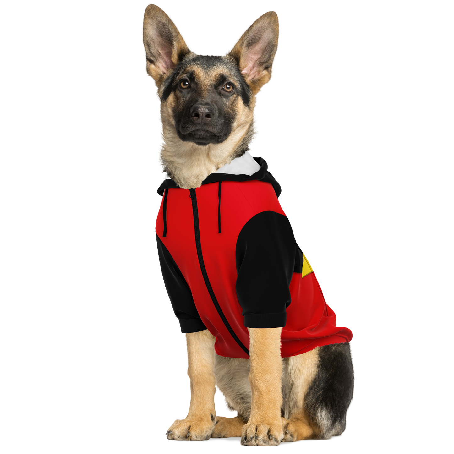 Rodoggo - Dog Hoodie - Doggy Drip Shop