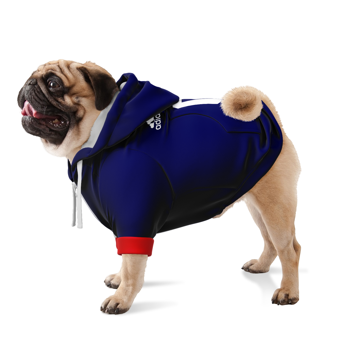 Japan Dog Hoodie