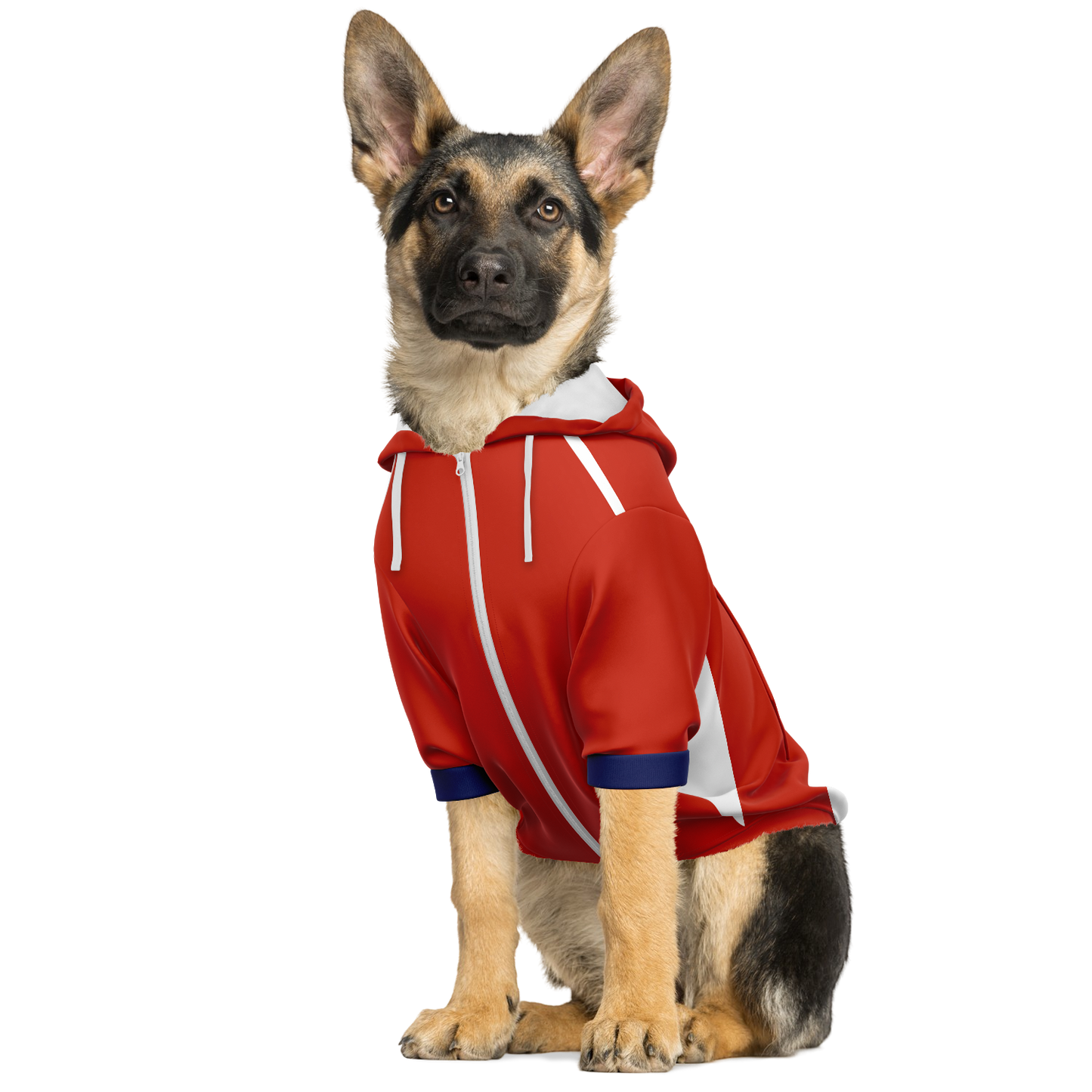 Atletico Madrid Dog Hoodie - Doggy Drip Shop