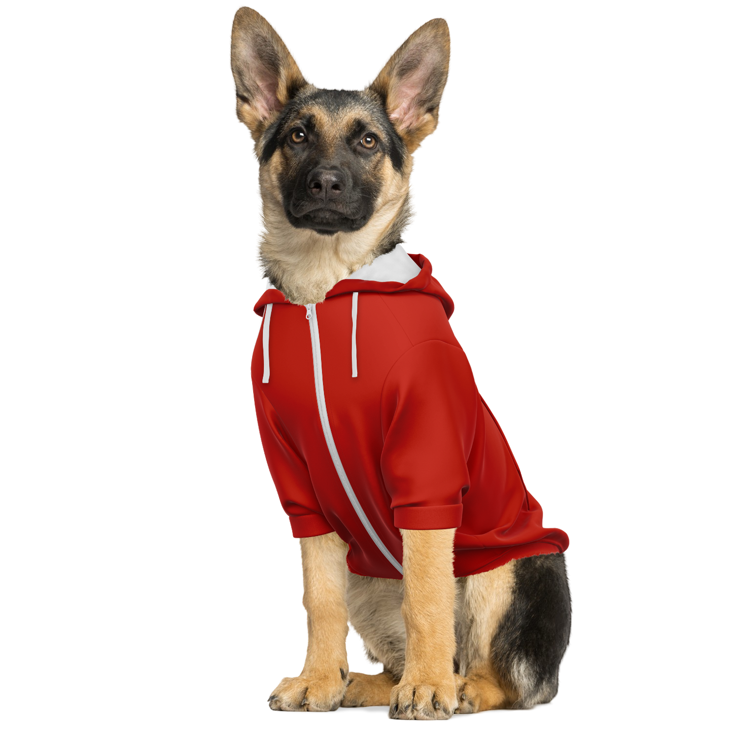 Canada Dog Hoodie
