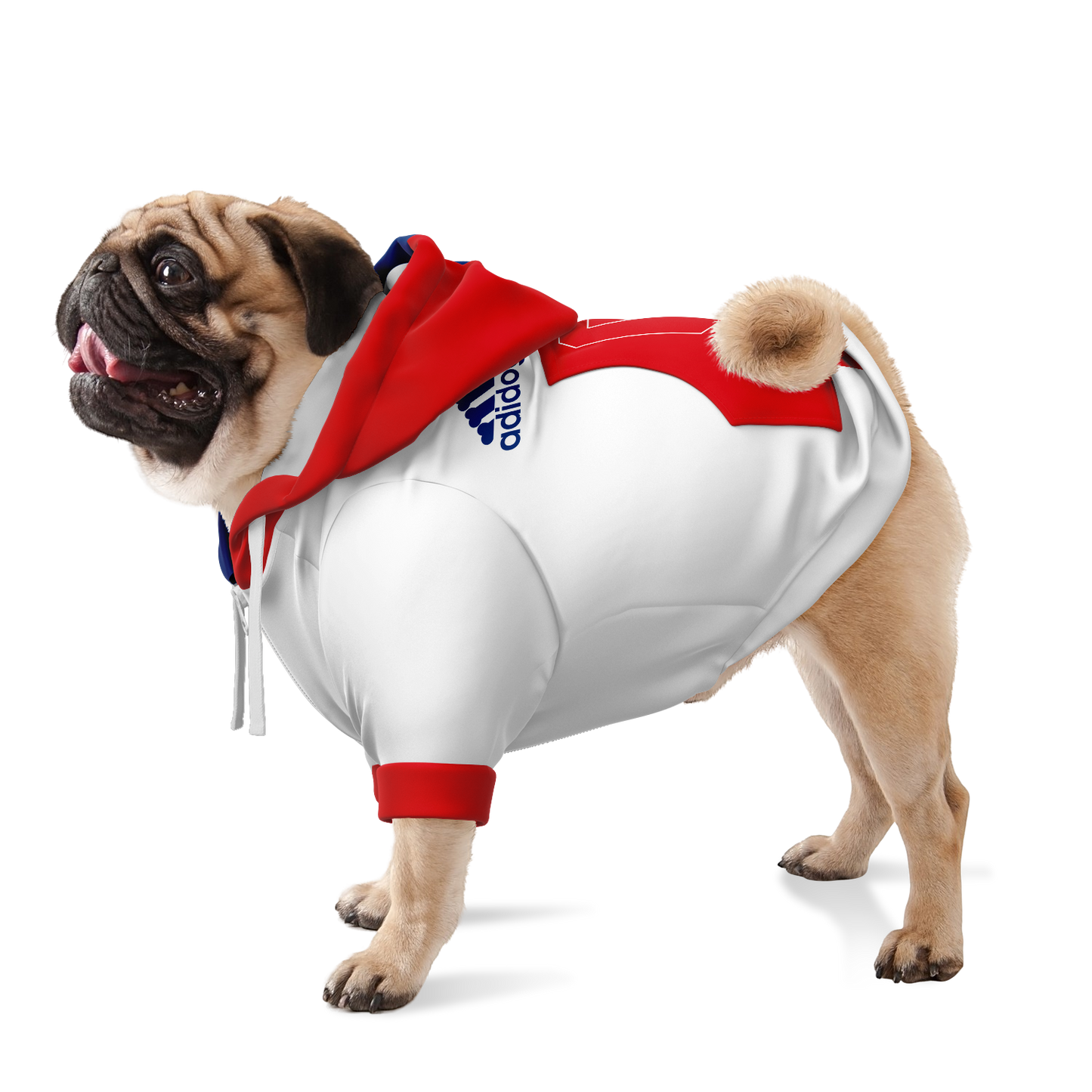 Olympique Lyonnais Dog Hoodie - Doggy Drip Shop