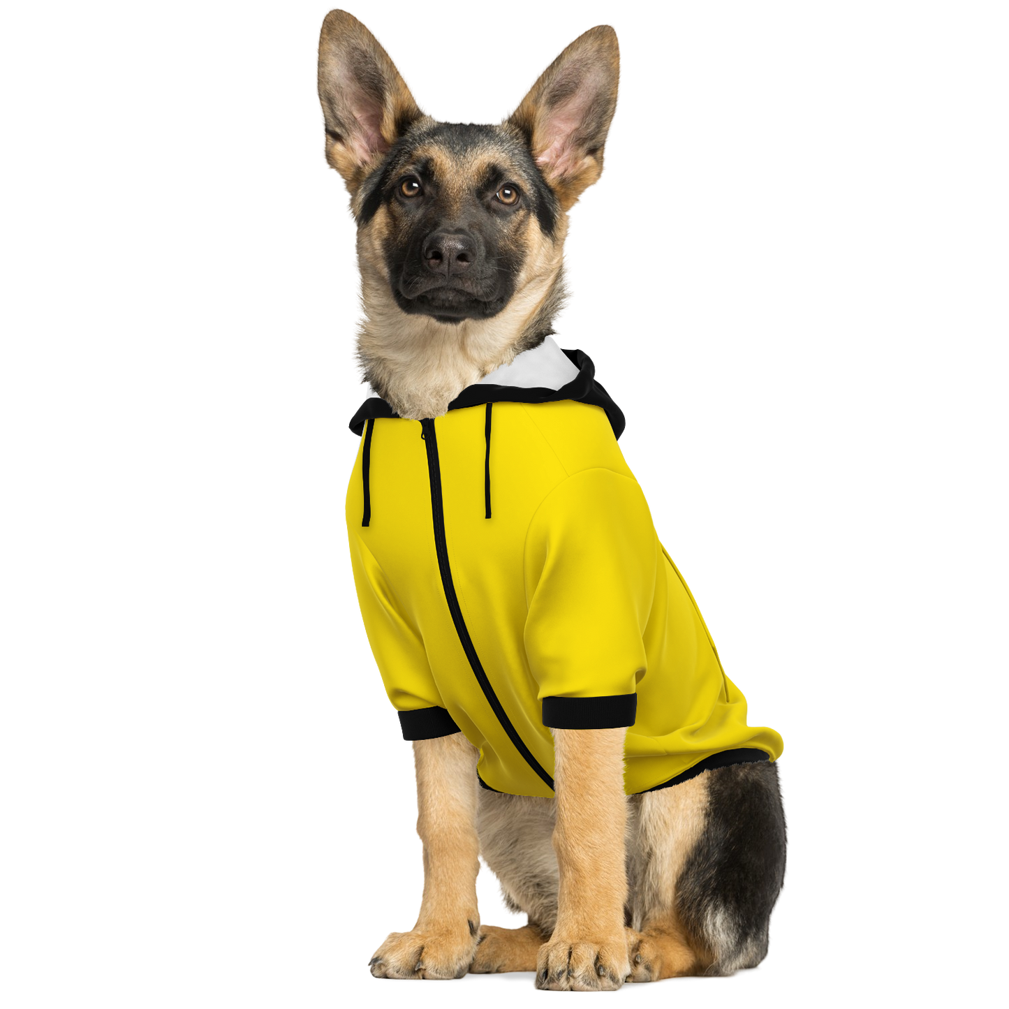 BVB Borussia Dortmund Dog Hoodie - Doggy Drip Shop