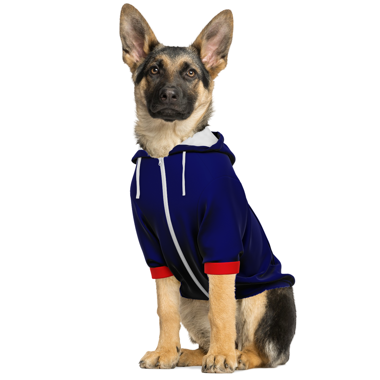 Japan Dog Hoodie