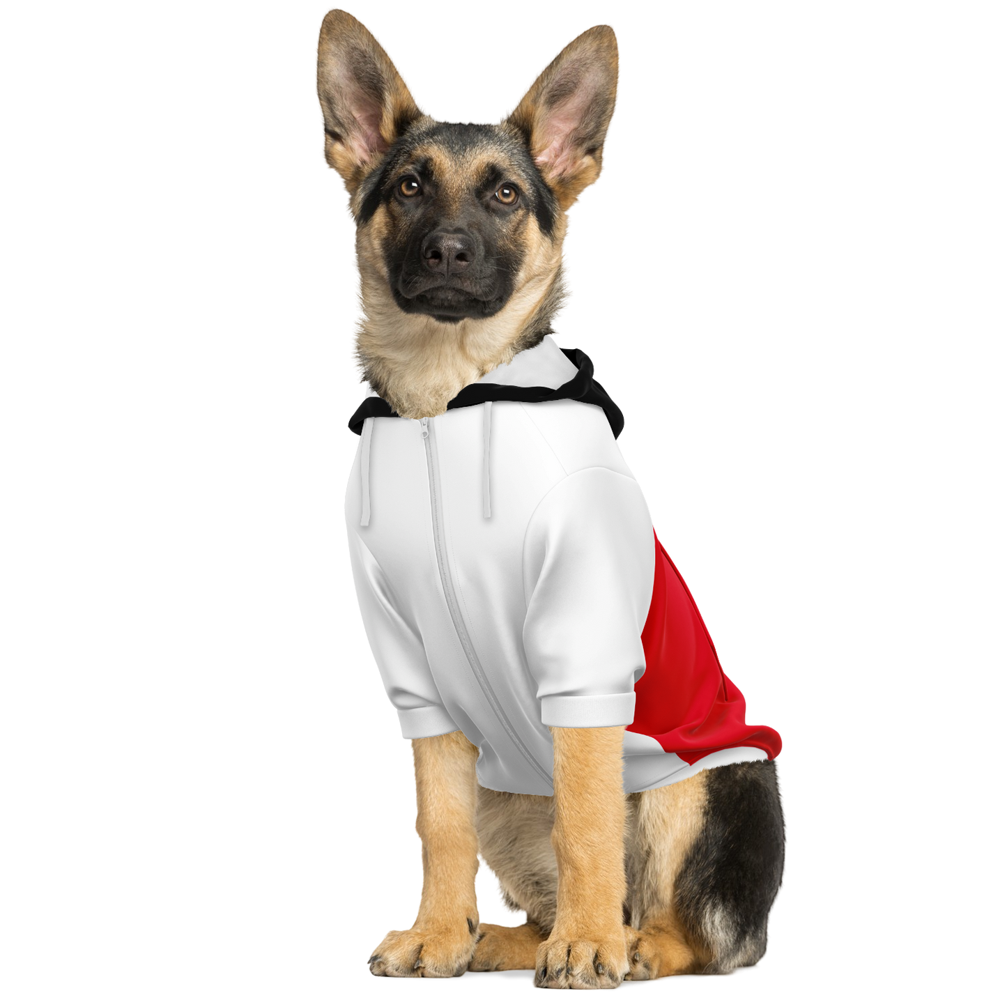Club Atletico River Plate Dog Hoodie - Doggy Drip Shop