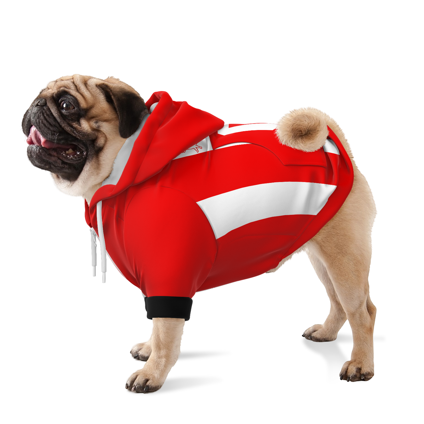 PSV Eindhoven Dog Hoodie - Doggy Drip Shop