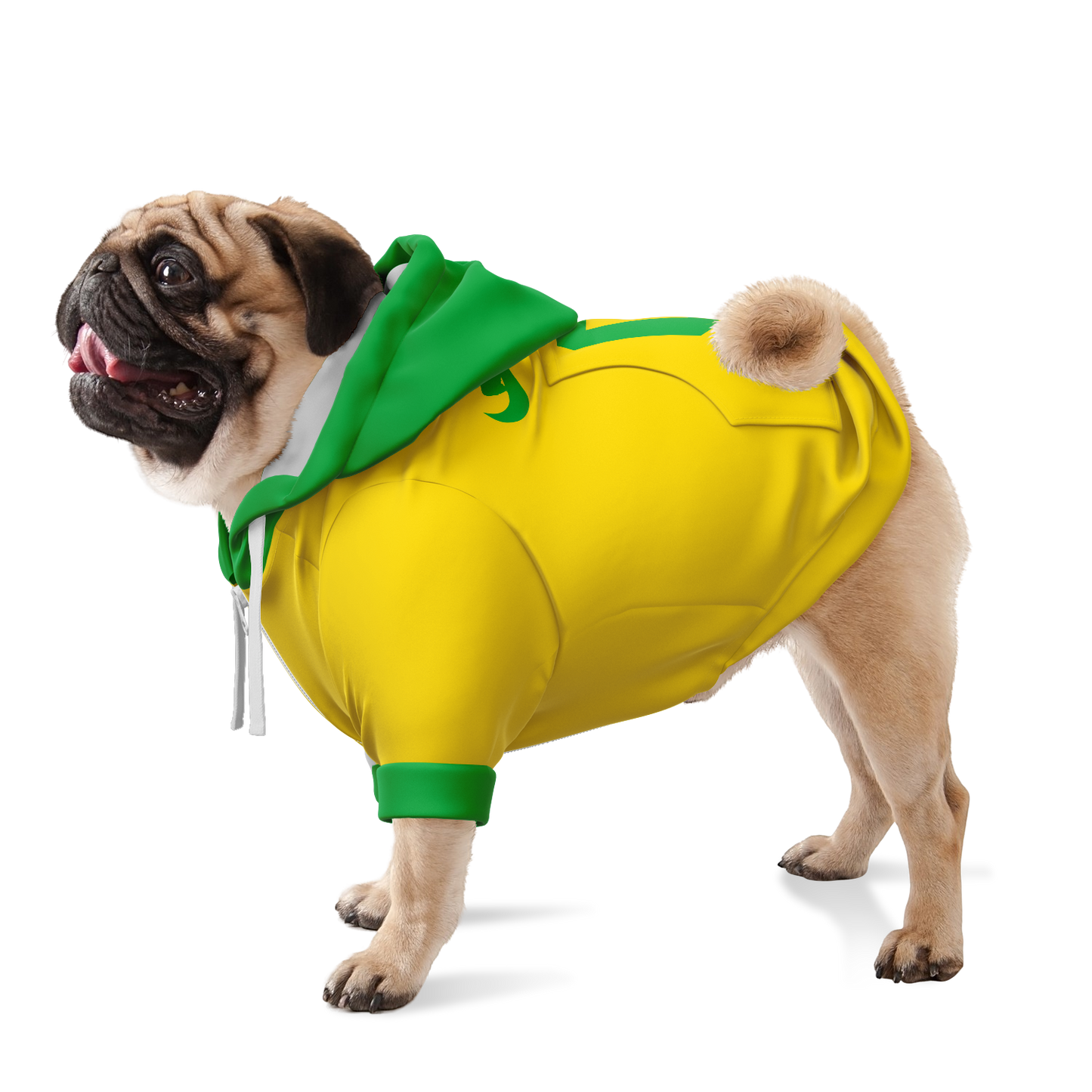 Brazil Dog Hoodie