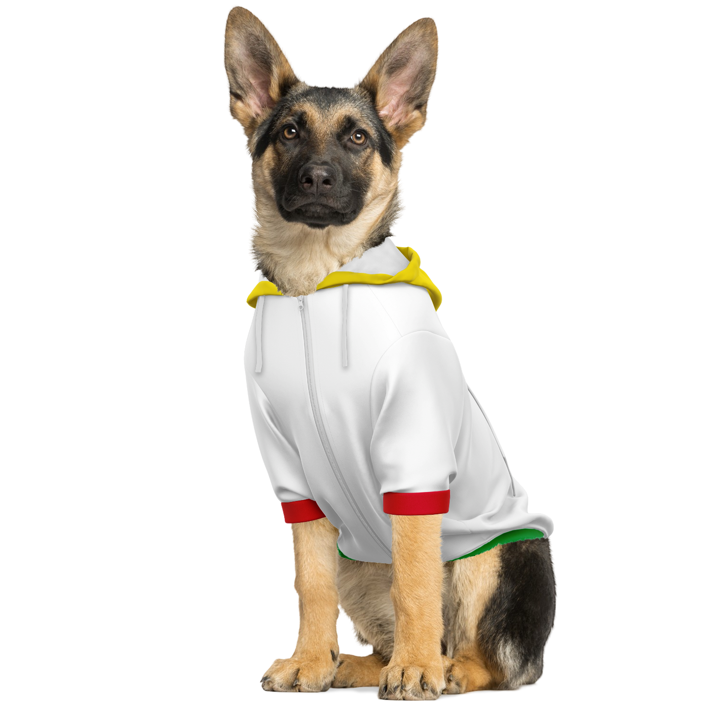 Ghana Dog Hoodie