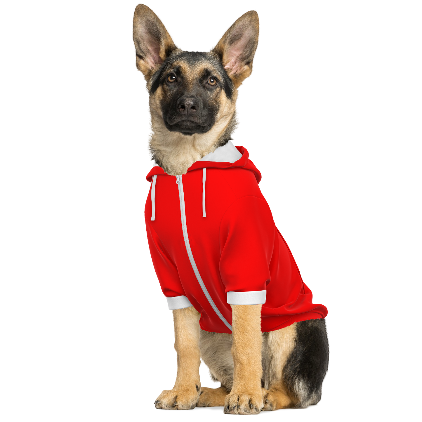 Switzerland Dog Hoodie