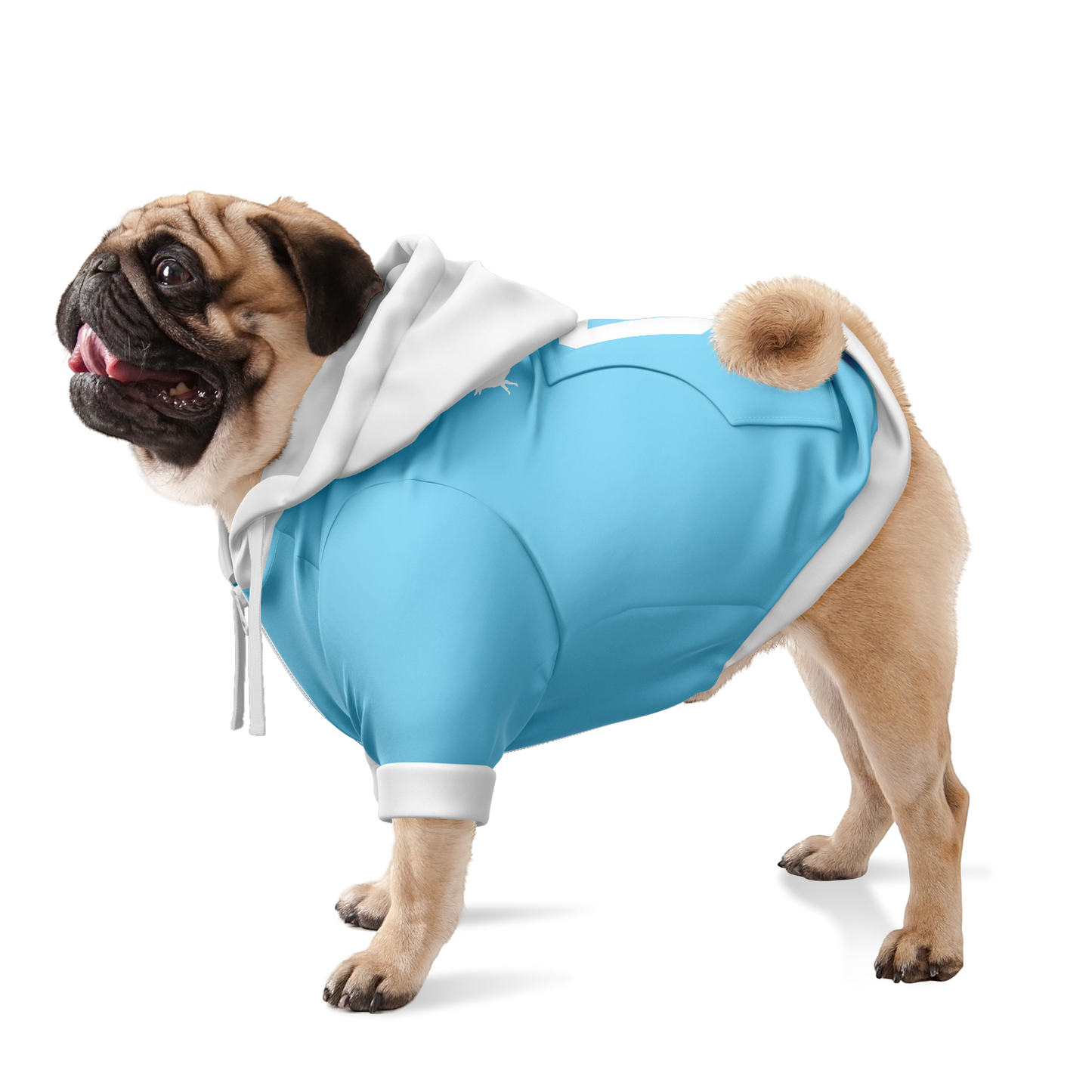 Lazio Dog Hoodie - Doggy Drip Shop