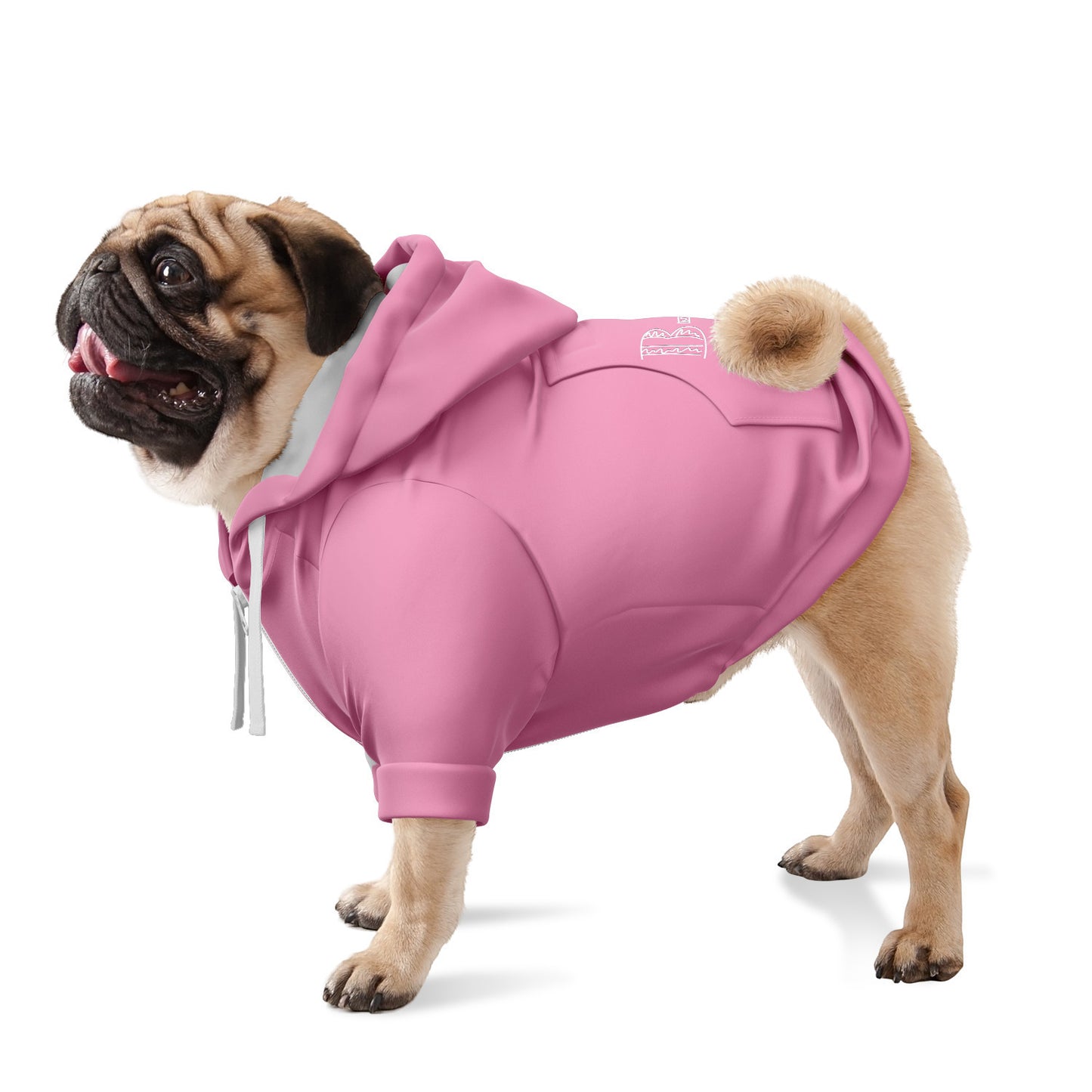 B-Day Girl - Dog Hoodie - Doggy Drip Shop