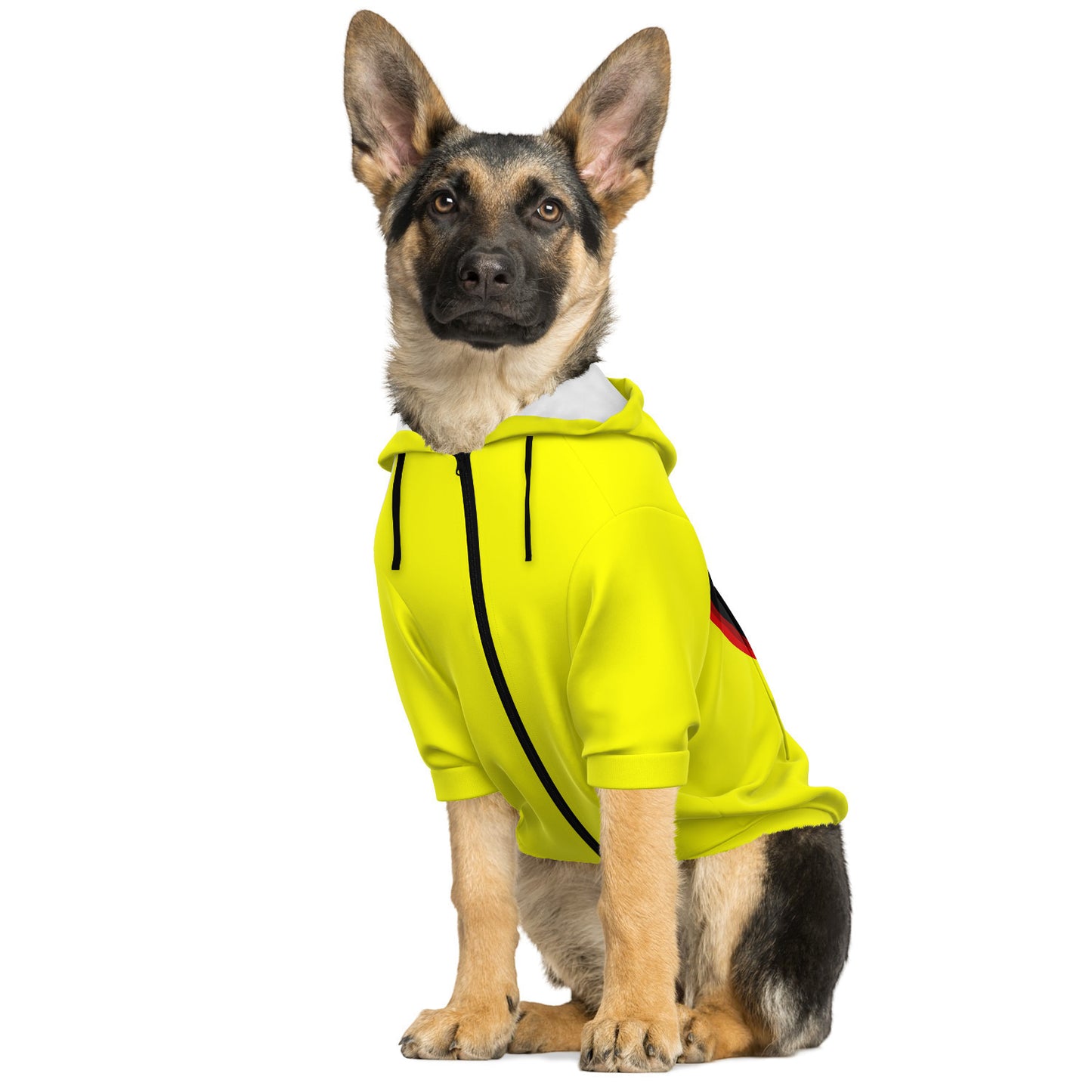 Reverse Doggo Flash - Dog Hoodie - Doggy Drip Shop