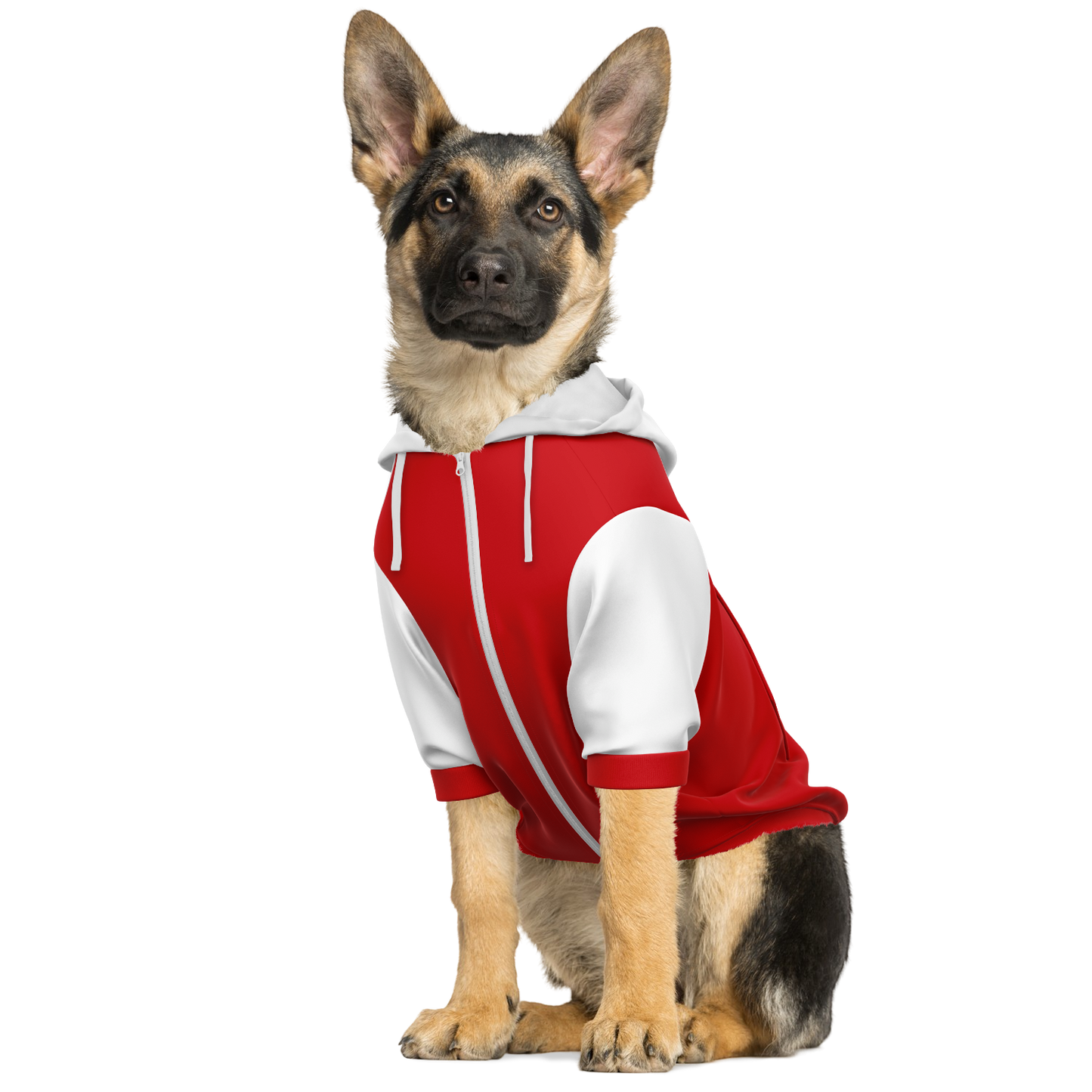 Denmark Dog Hoodie