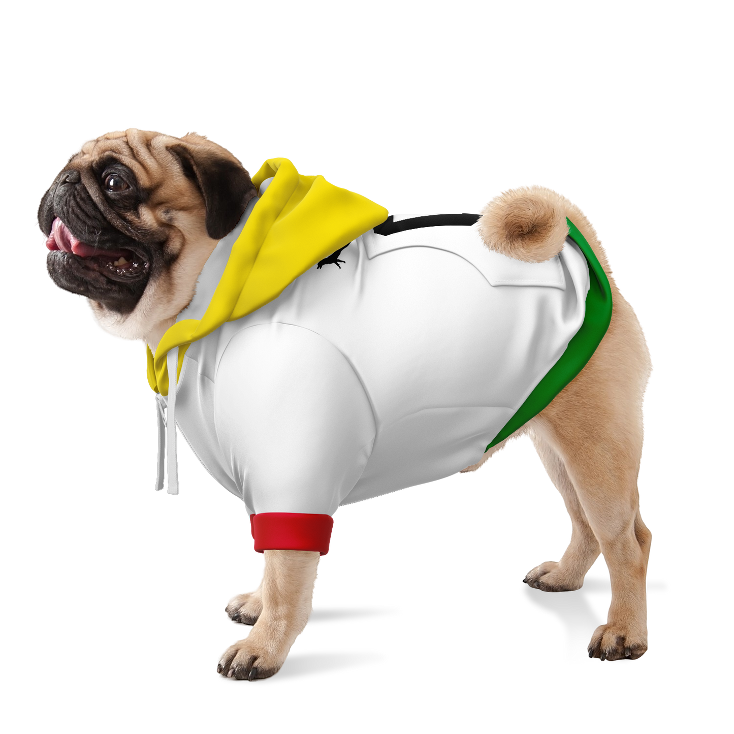 Ghana Dog Hoodie
