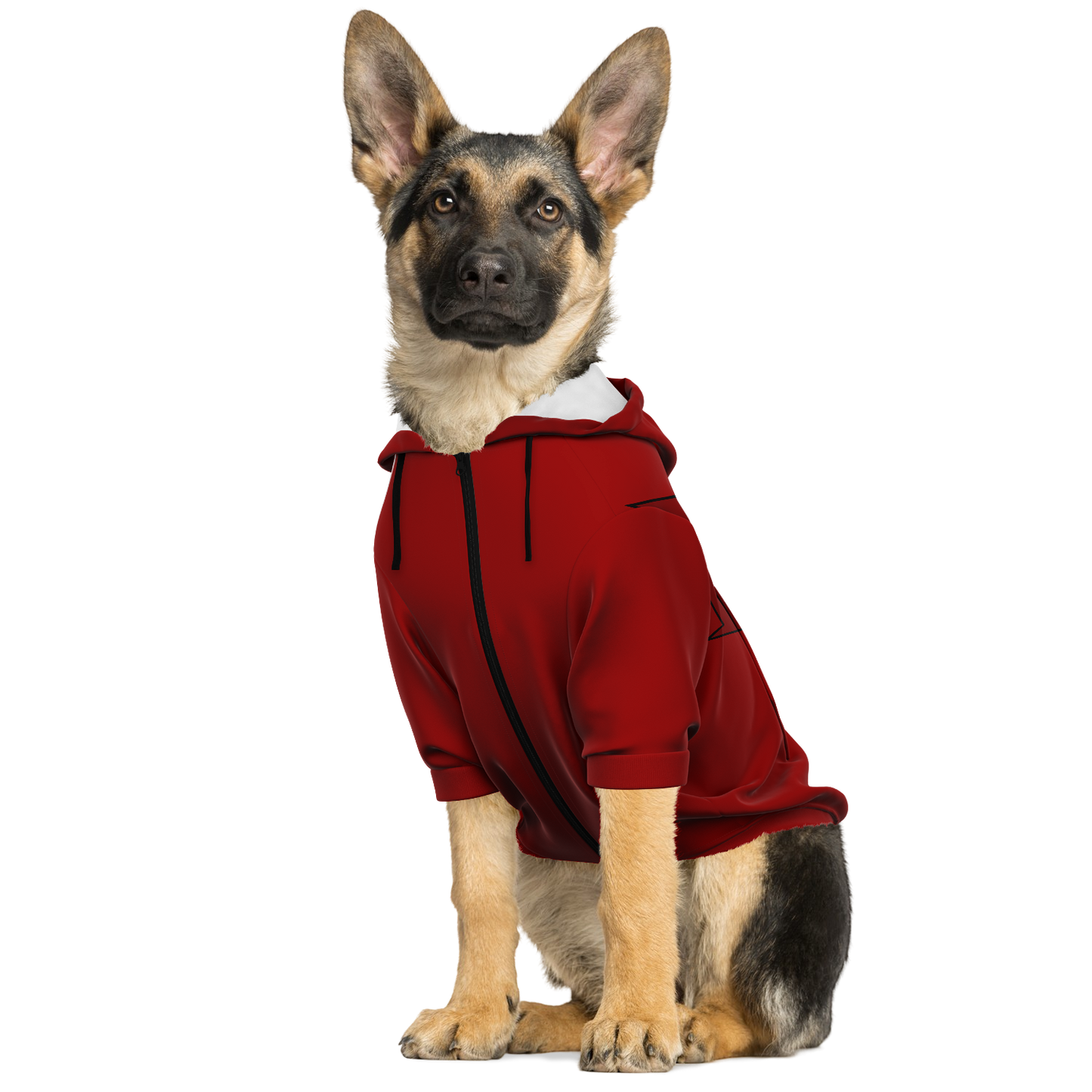 DareDoggo - Dog Hoodie - Doggy Drip Shop