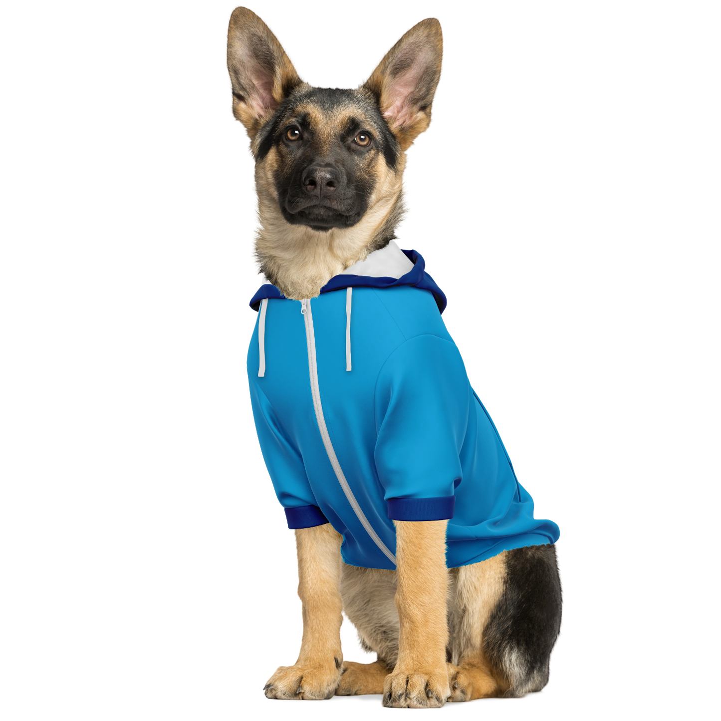 Napoli Dog Hoodie - Doggy Drip Shop