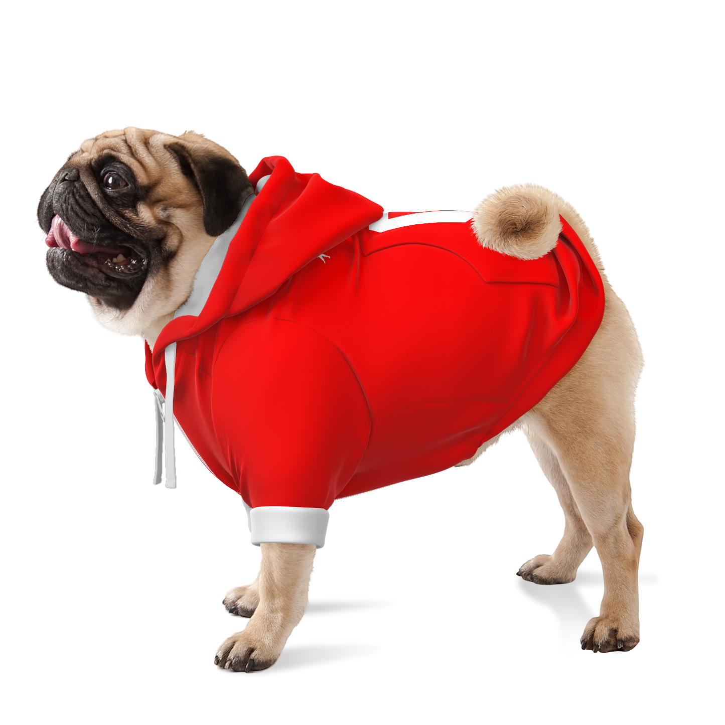 Switzerland Dog Hoodie