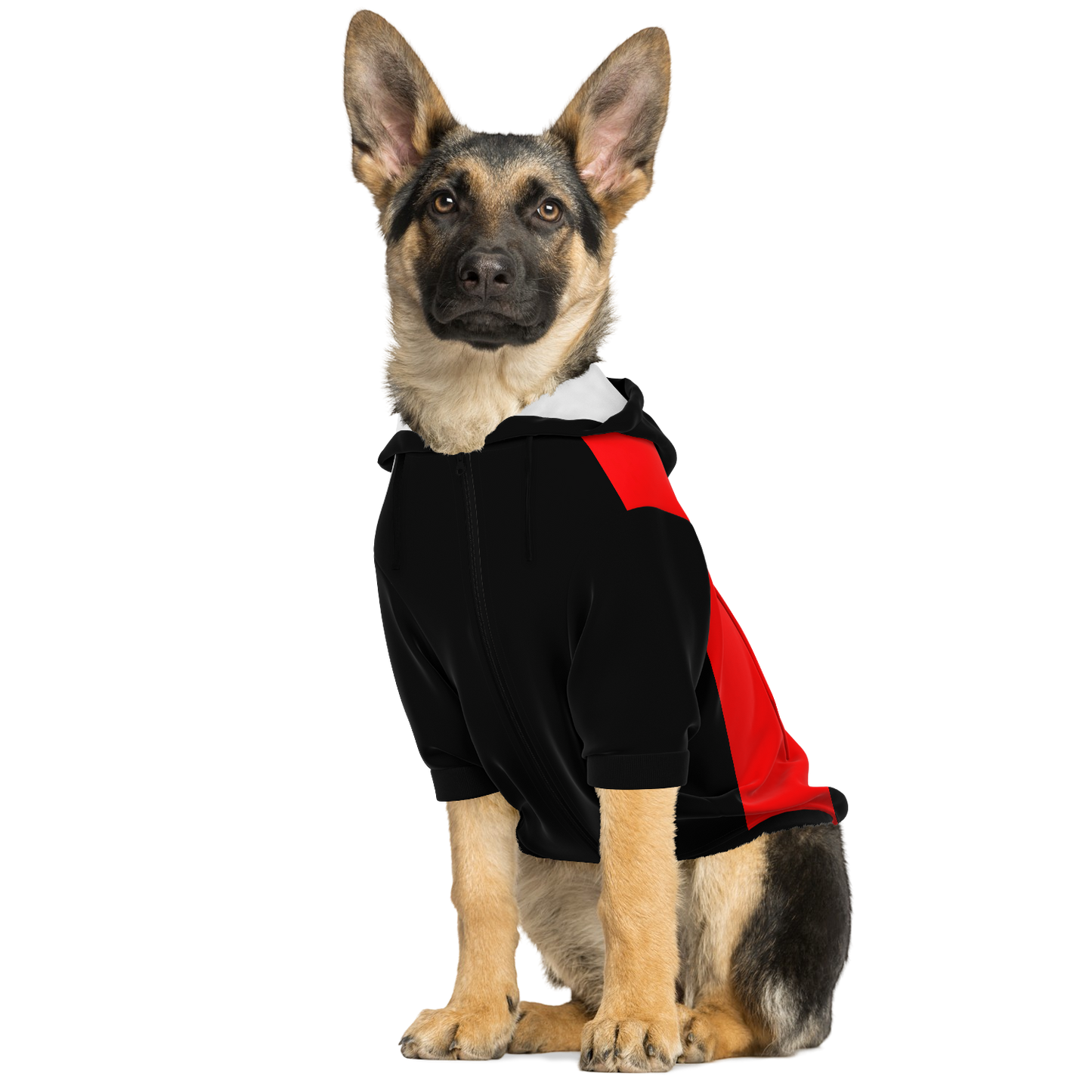 AC Milan Dog Hoodie