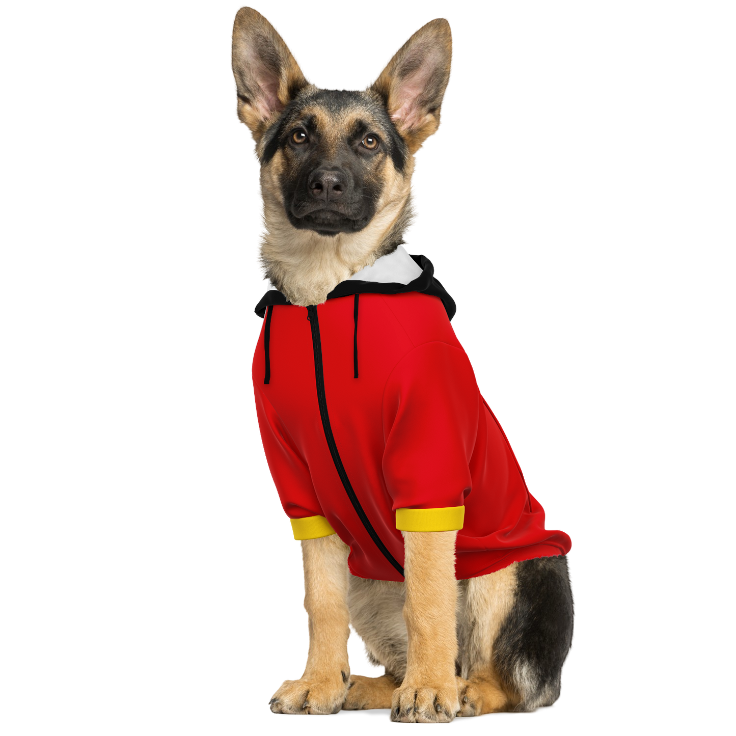 Belgium Dog Hoodie