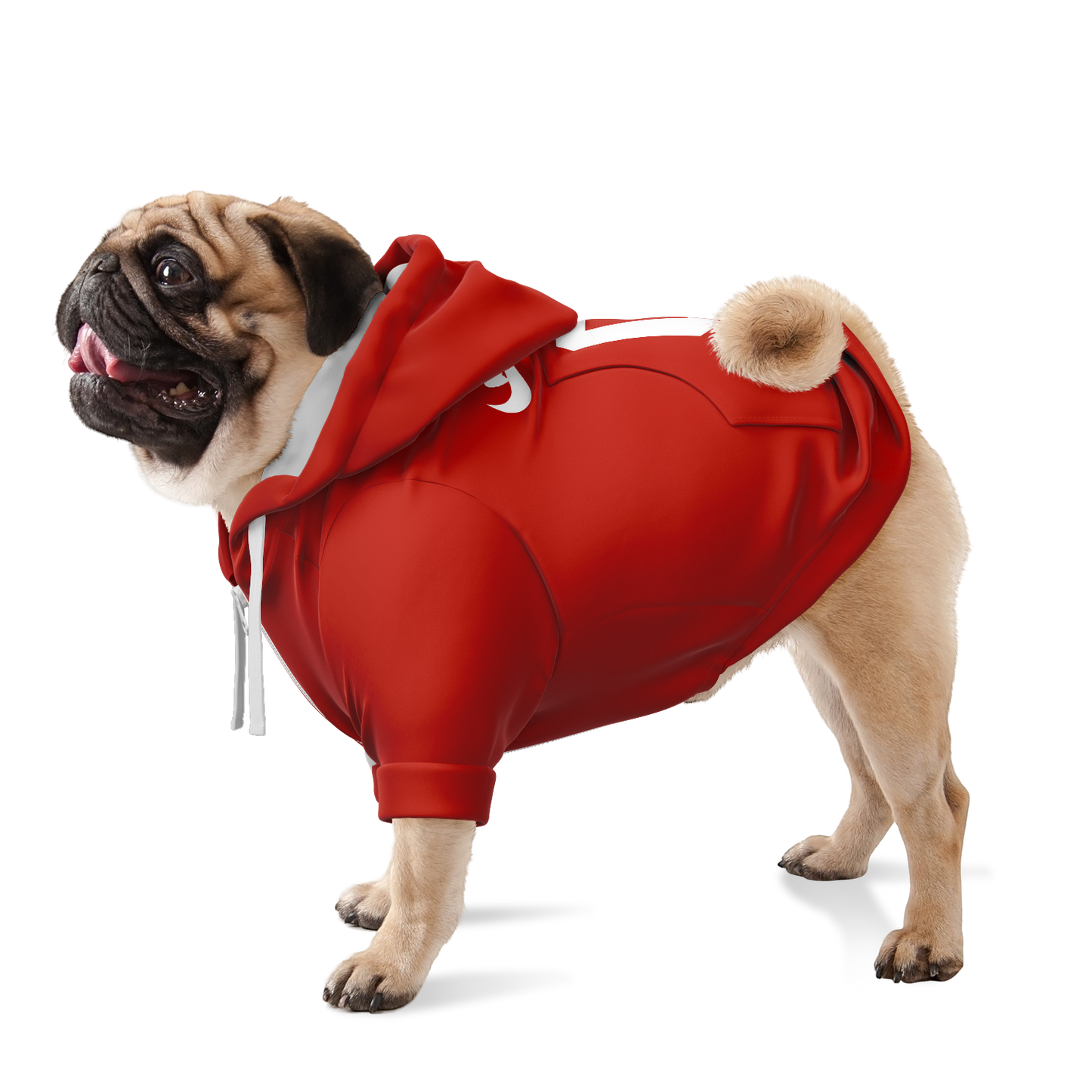 Canada Dog Hoodie