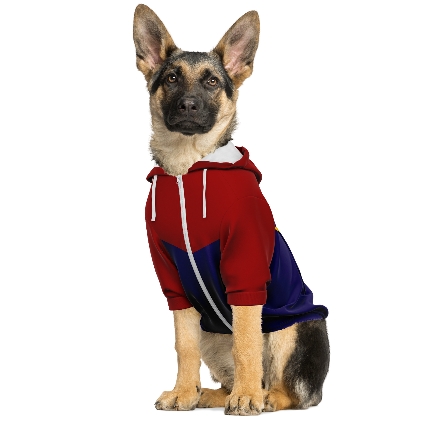 Captain MarvDoggo - Dog Hoodie - Doggy Drip Shop