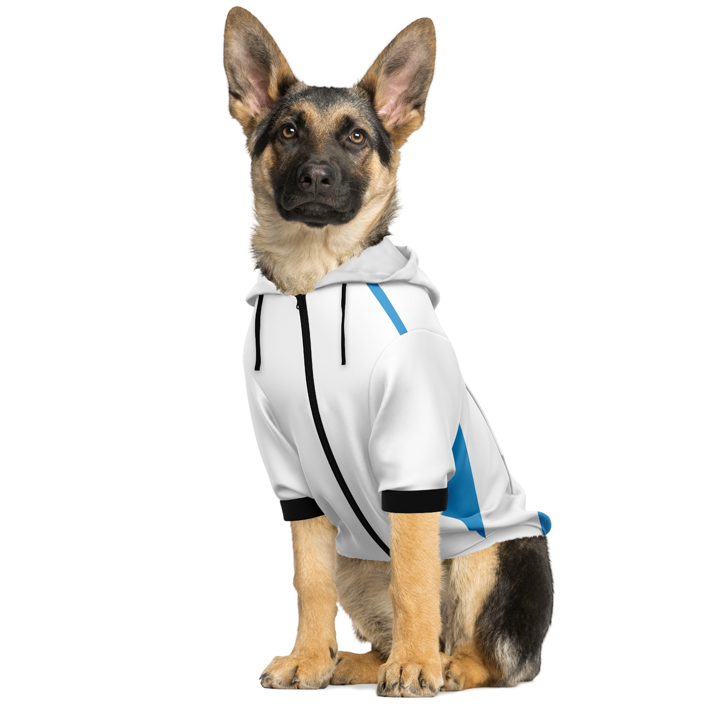 Argentina Dog Hoodie