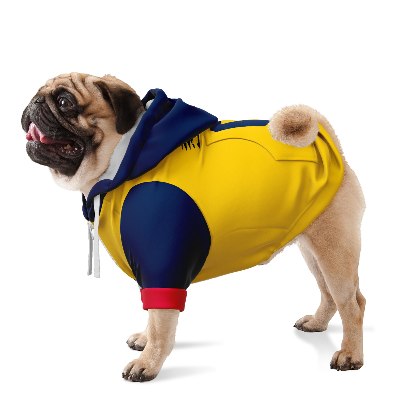 Ecuador Dog Hoodie