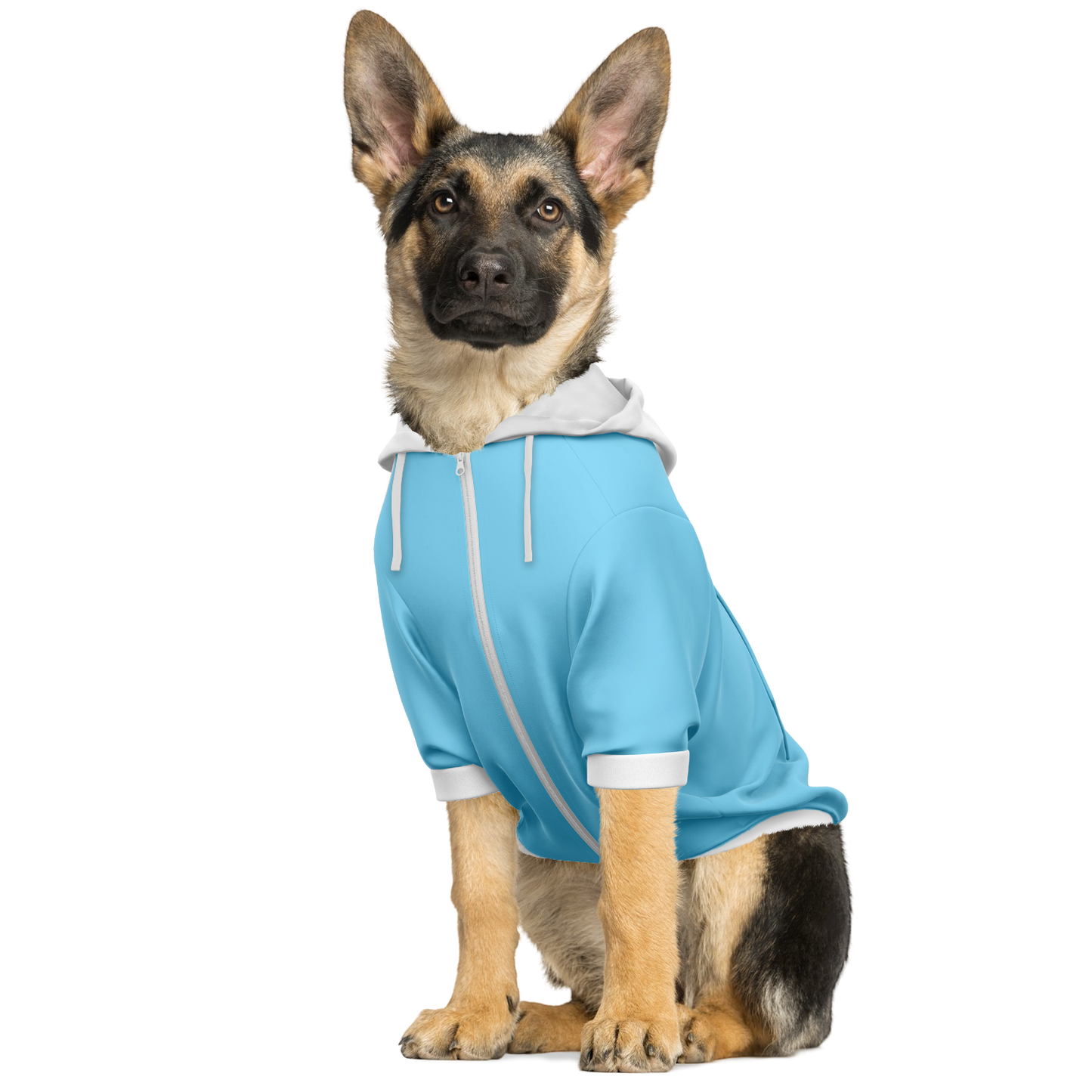 Lazio Dog Hoodie - Doggy Drip Shop
