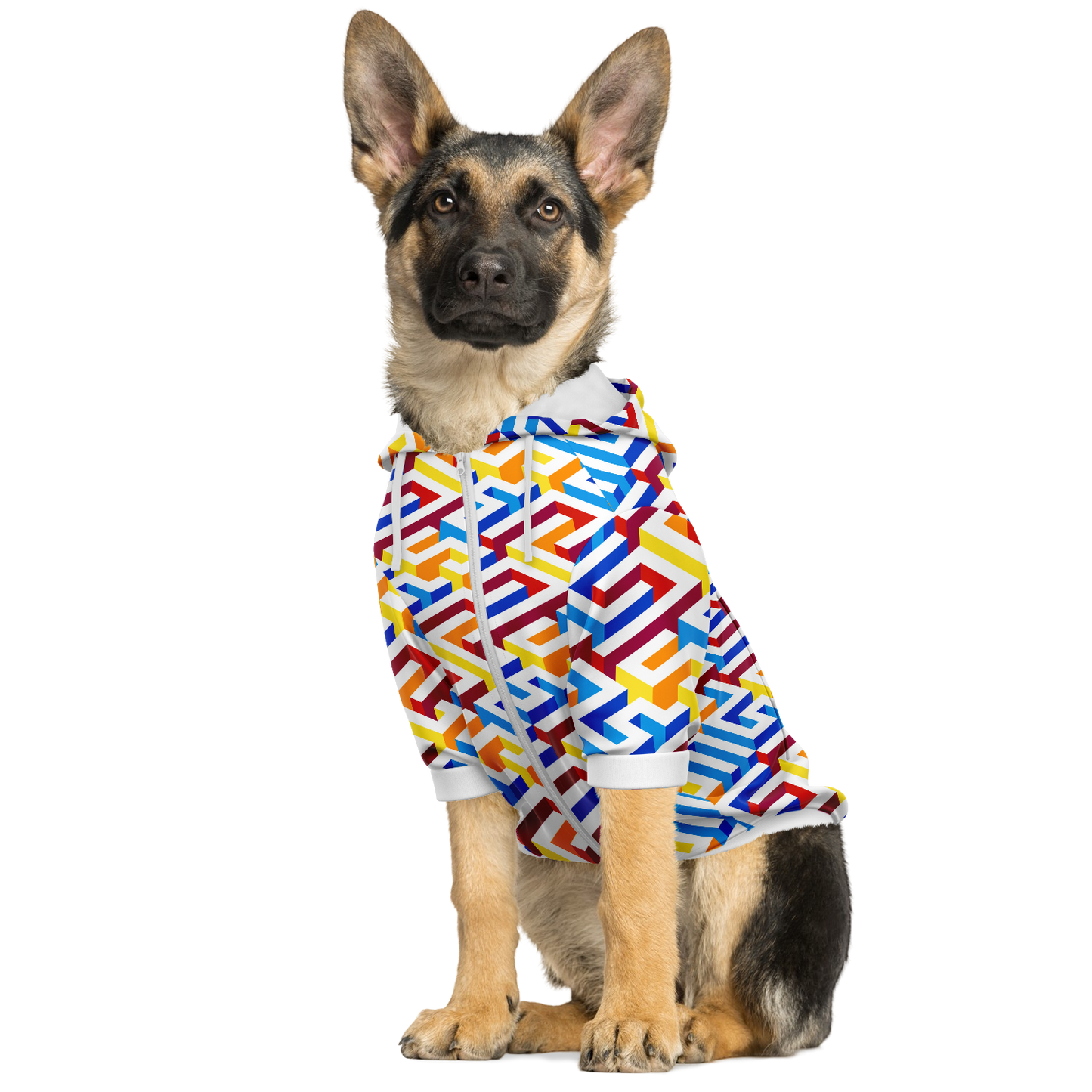 Colorful Maze - Dog Hoodie - Doggy Drip Shop
