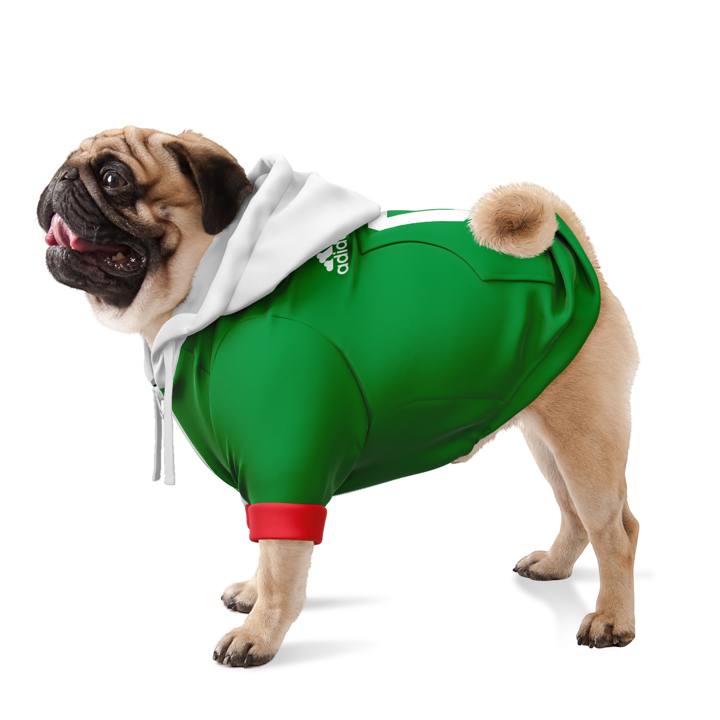 Mexico Dog Hoodie