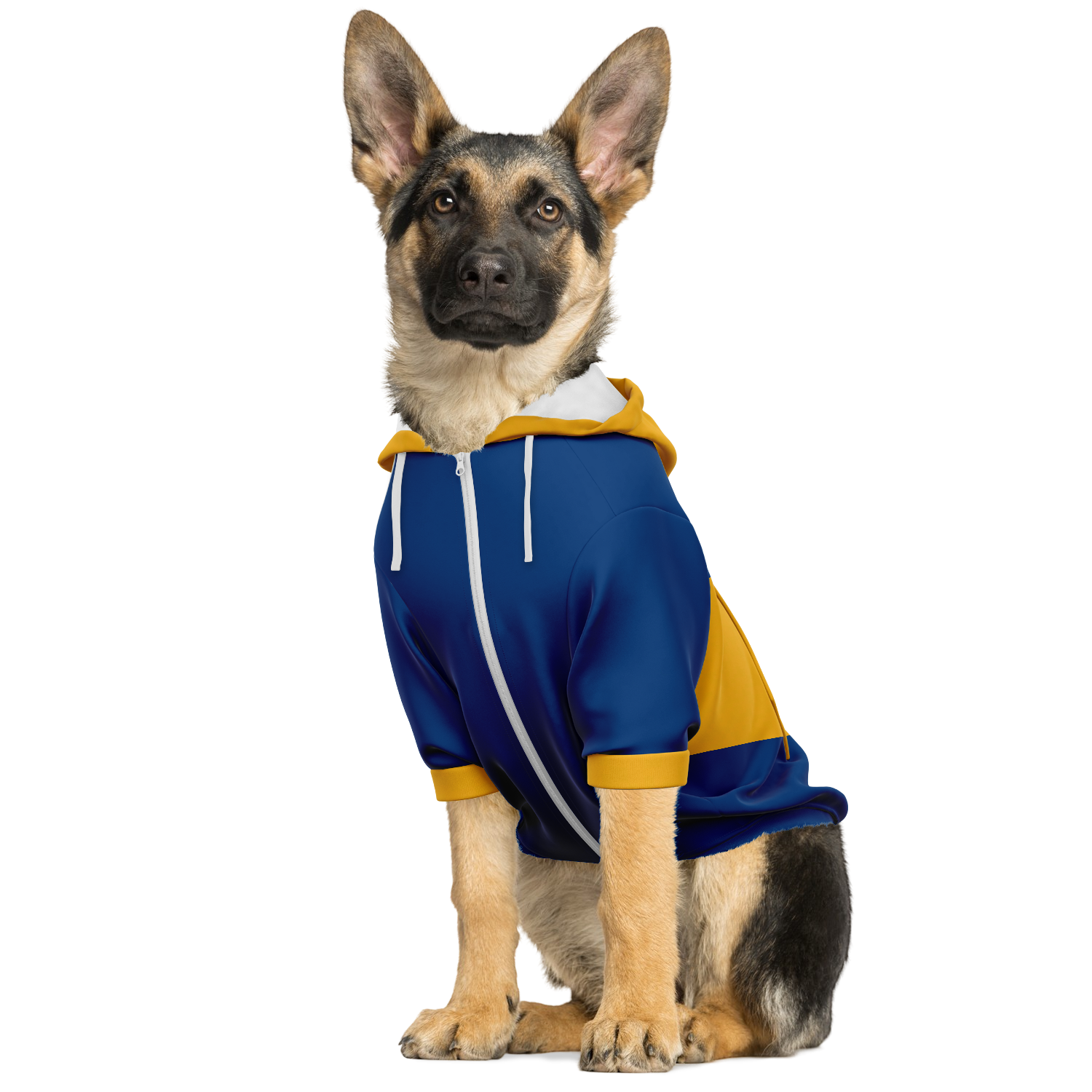 Blue hot sale dog hoodie